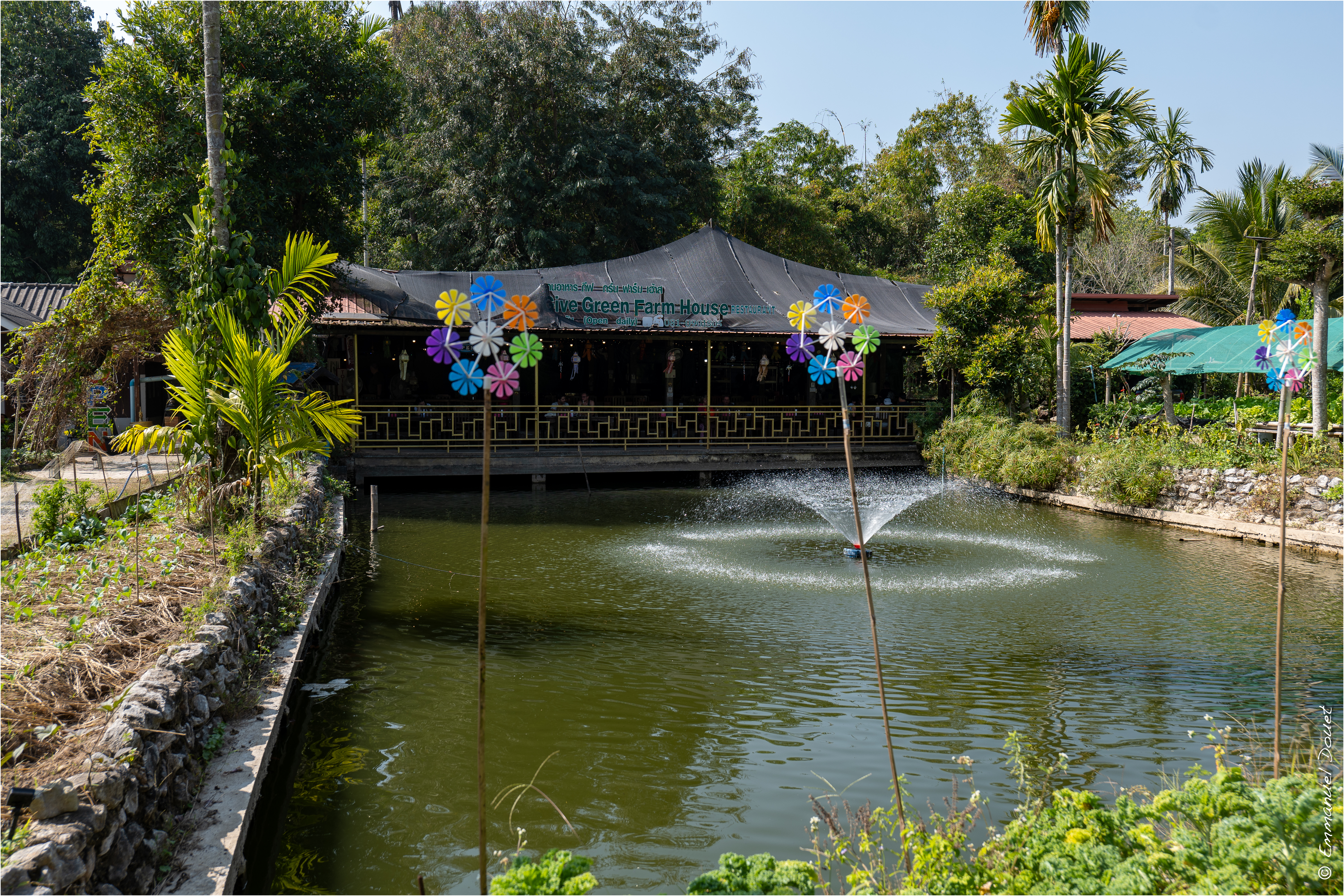 2025 02 Thaïlande&Laos 118