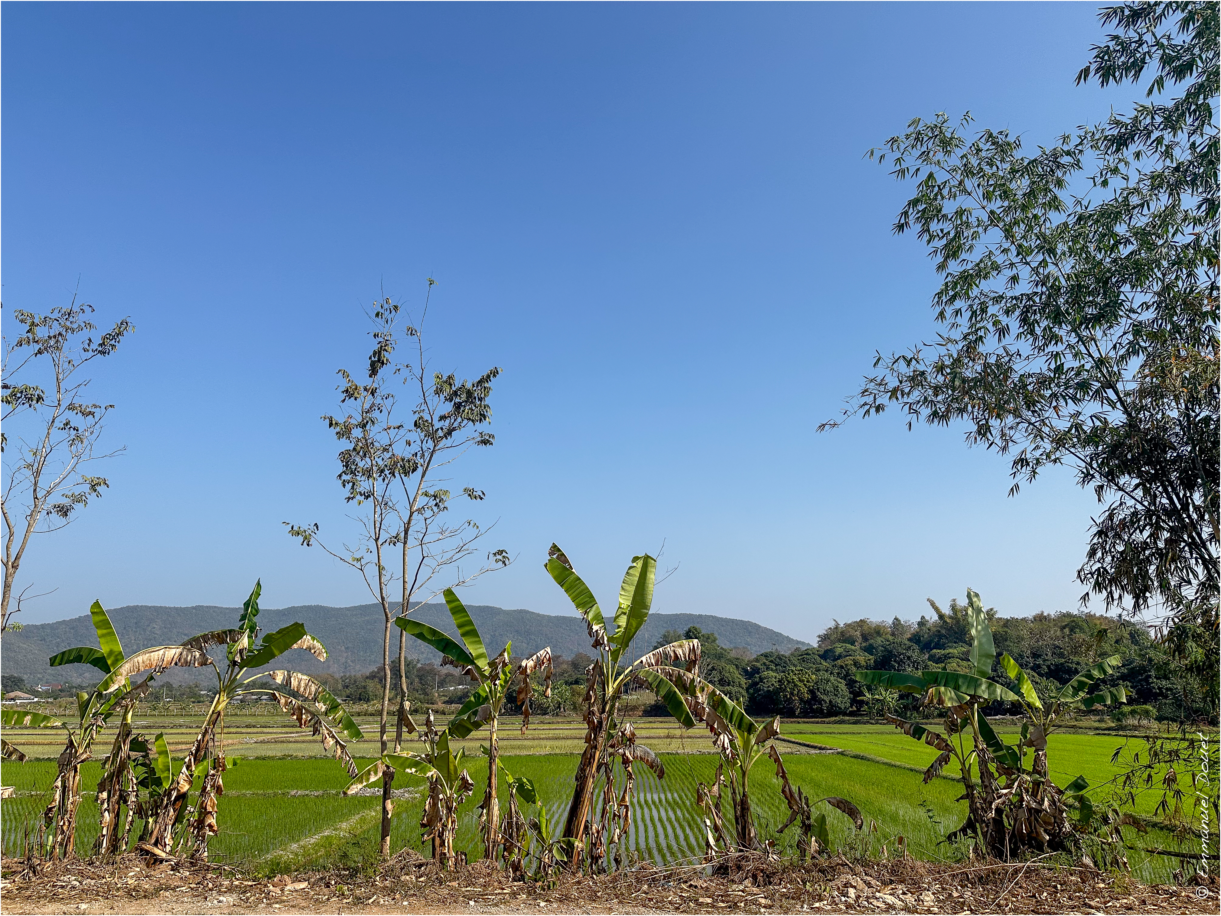 2025 02 Thaïlande&Laos 123