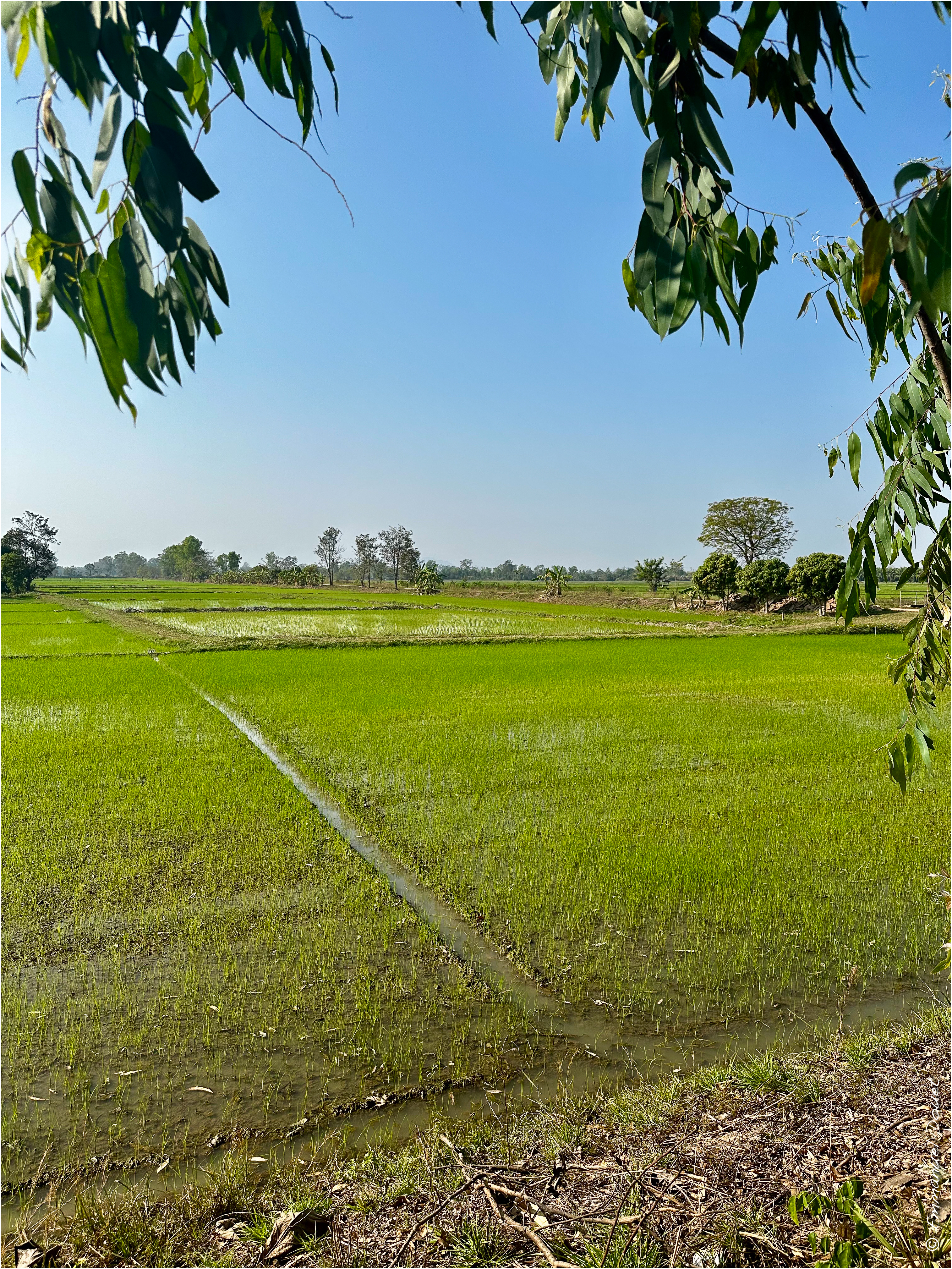 2025 02 Thaïlande&Laos 126