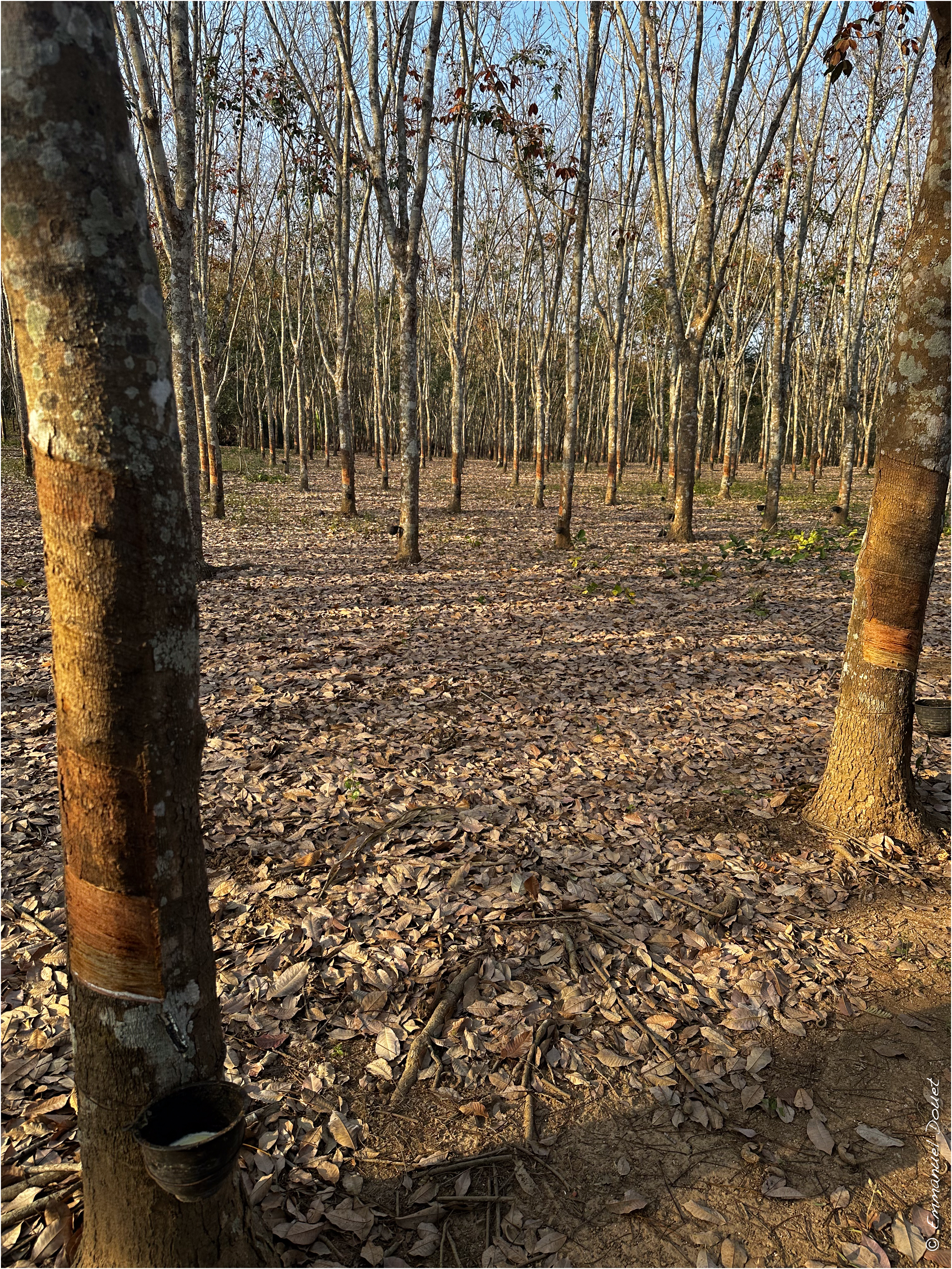 2025 02 Thaïlande&Laos 128