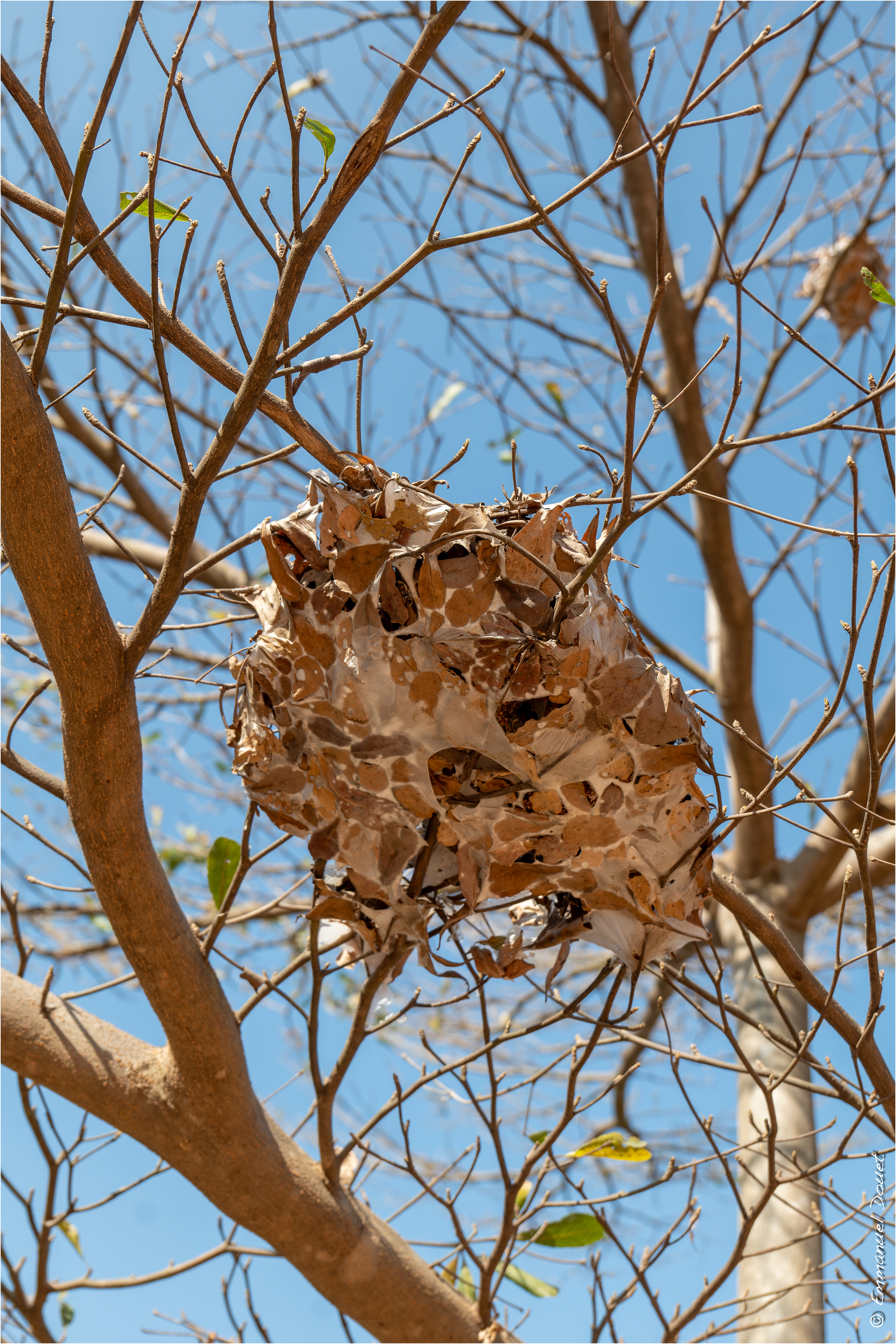2025 02 Thaïlande&Laos 145