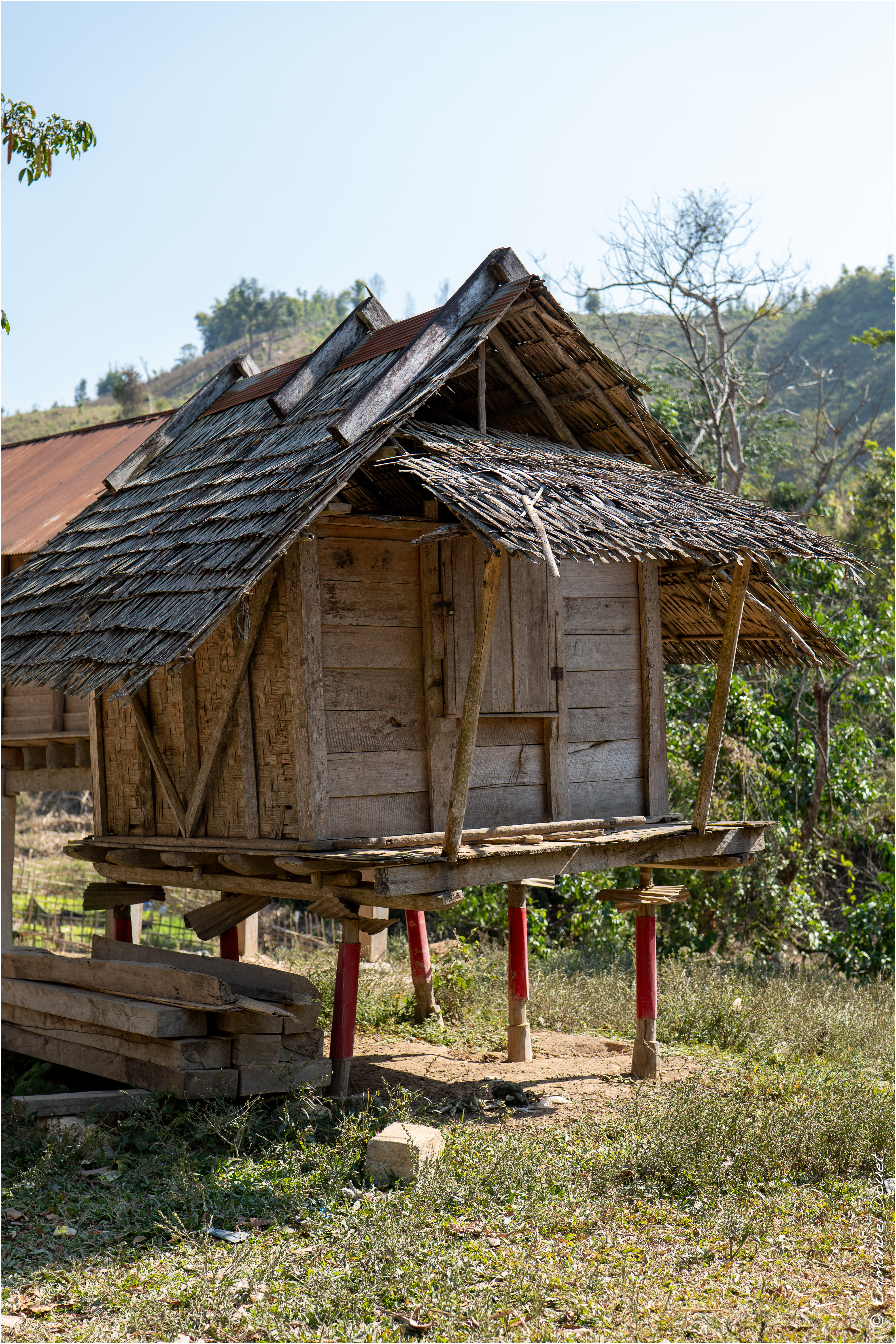 2025 02 Thaïlande&Laos 182