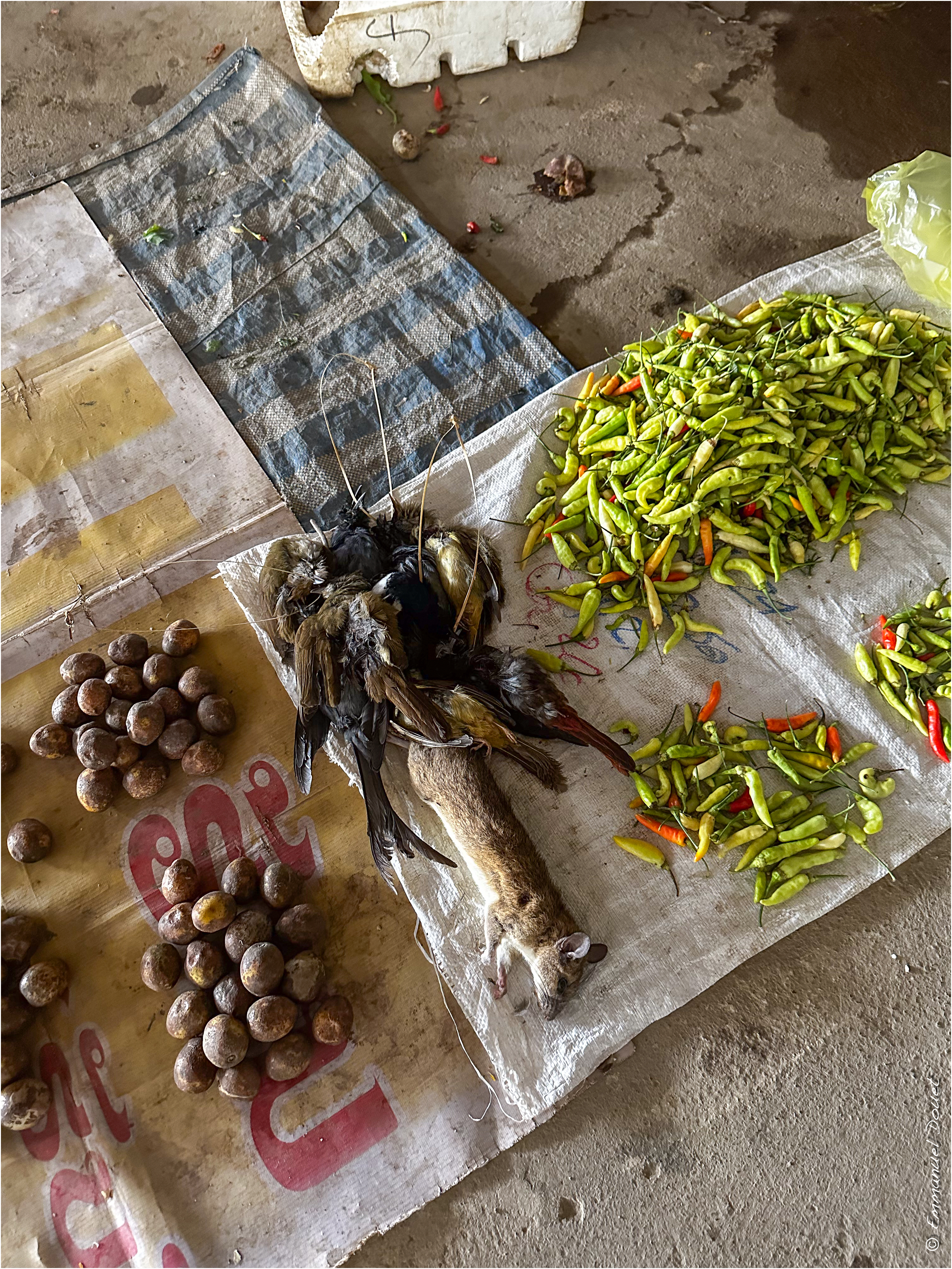 2025 02 Thaïlande&Laos 202