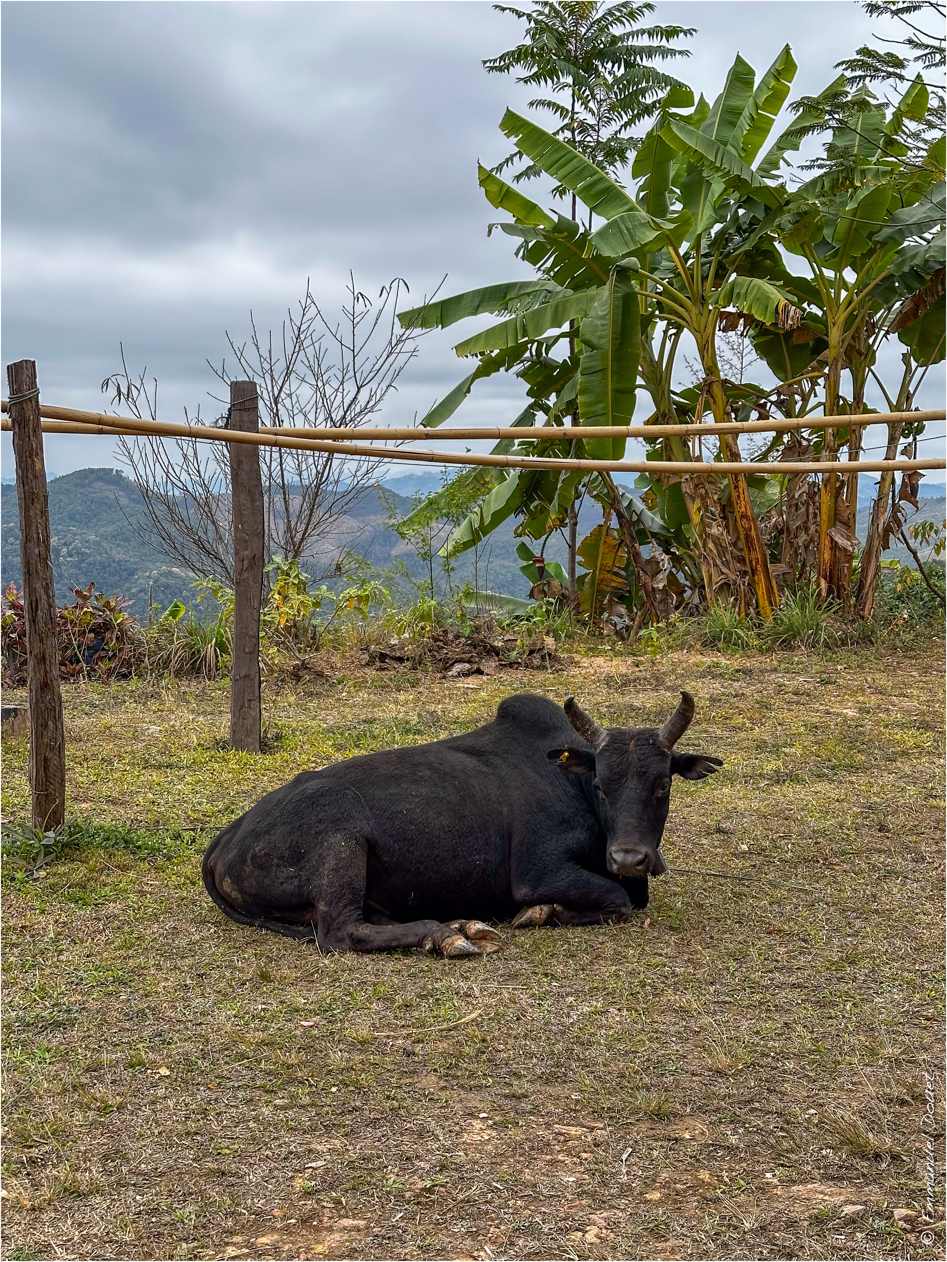 2025 02 Thaïlande&Laos 209