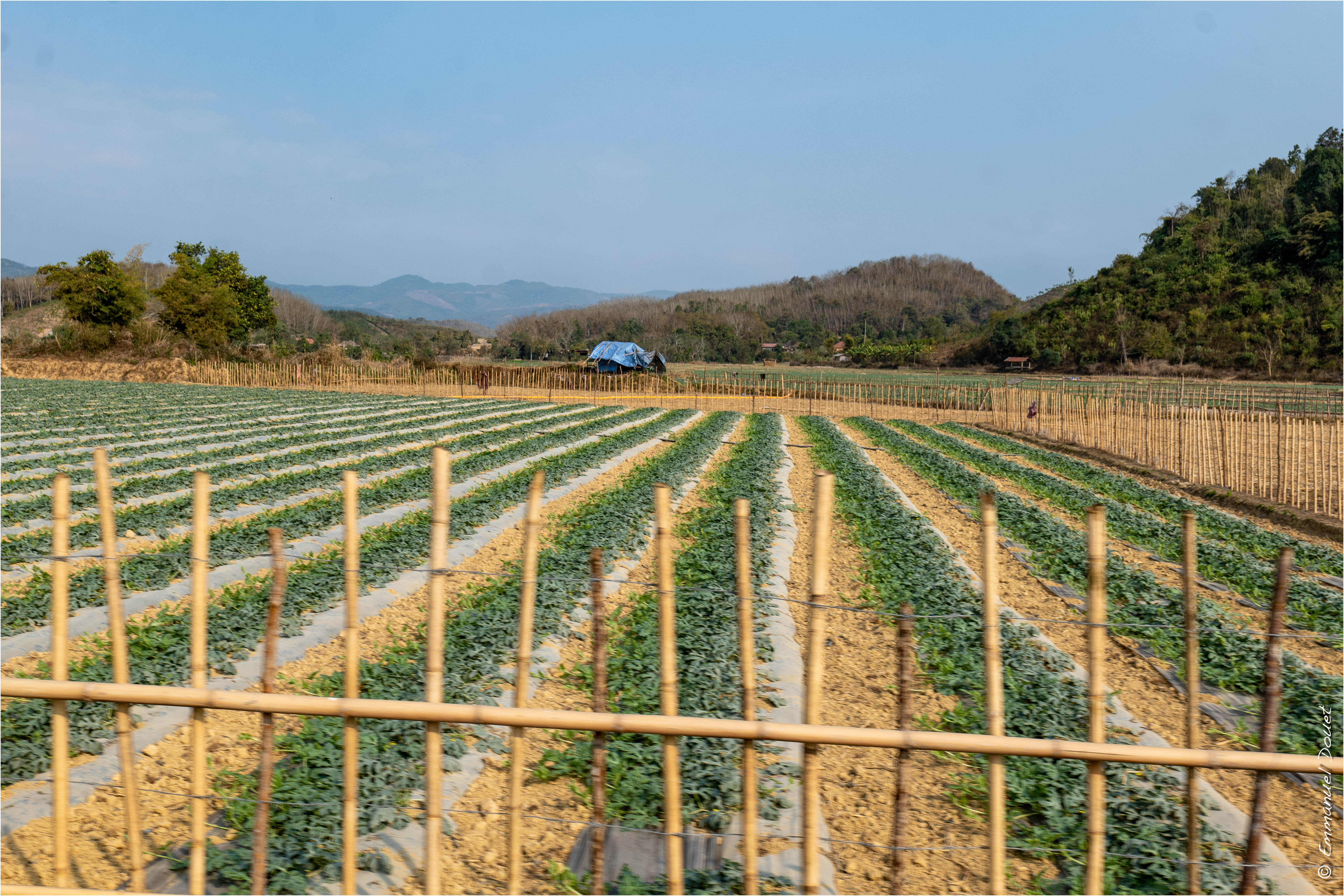 2025 02 Thaïlande&Laos 225