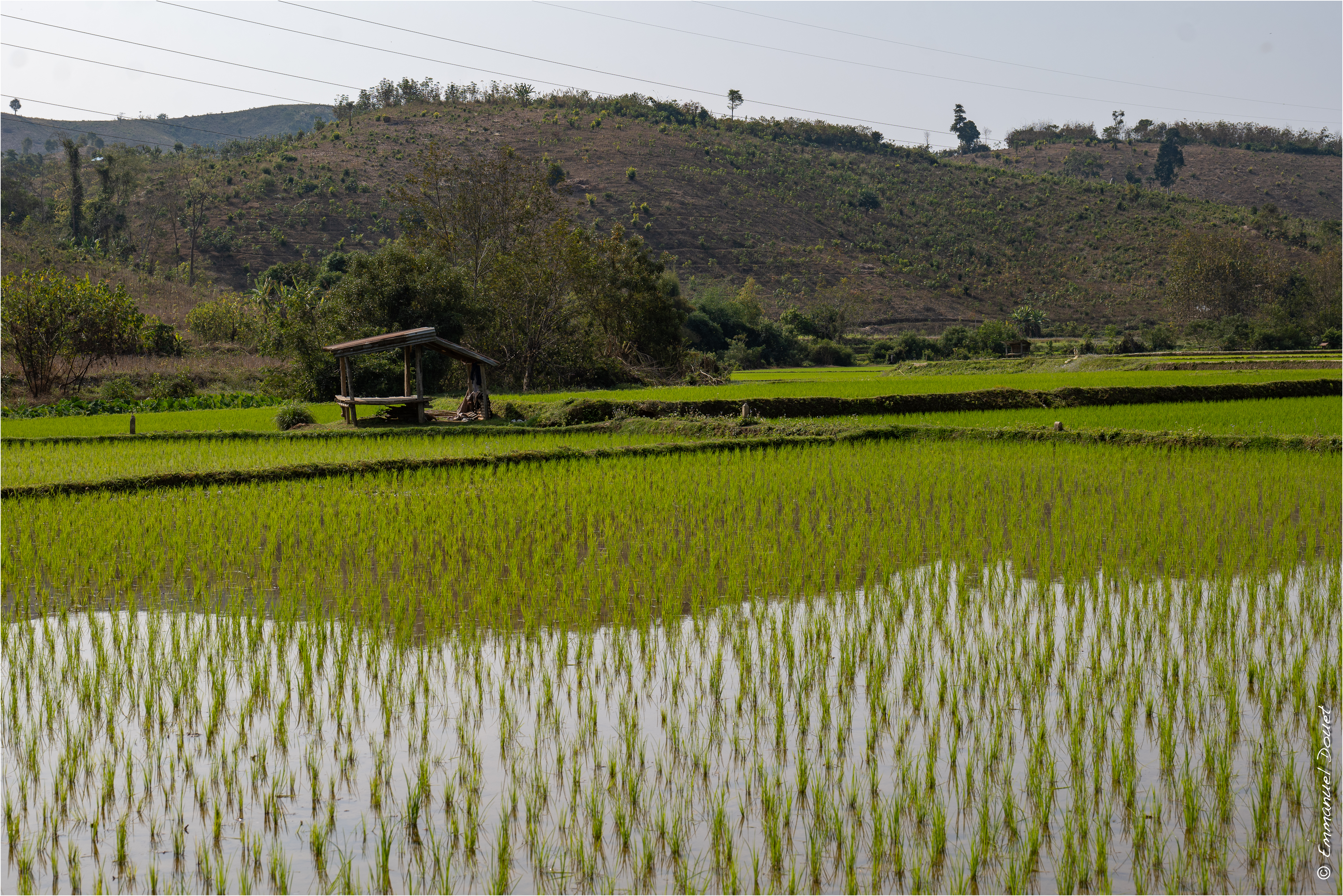 2025 02 Thaïlande&Laos 234