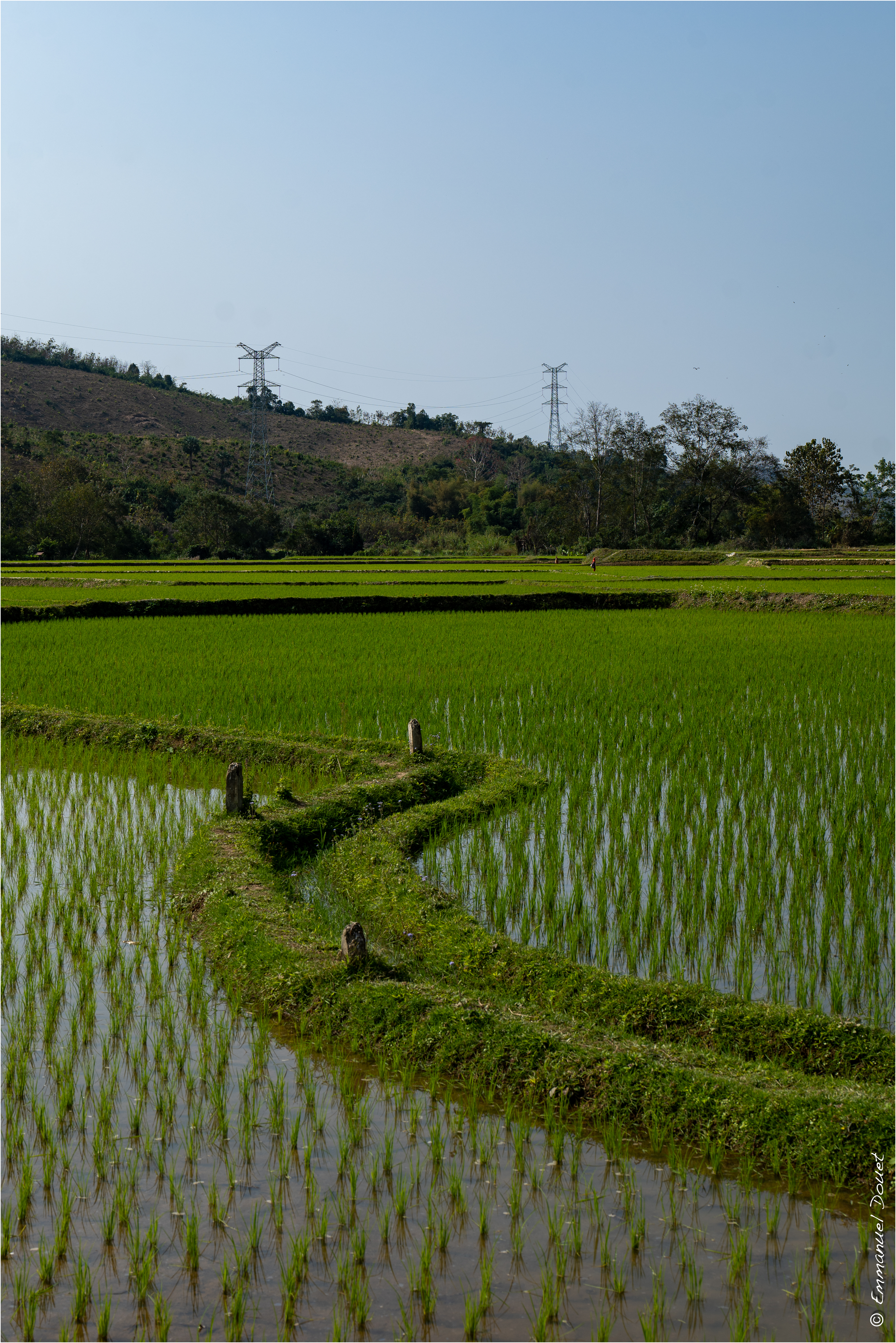 2025 02 Thaïlande&Laos 239