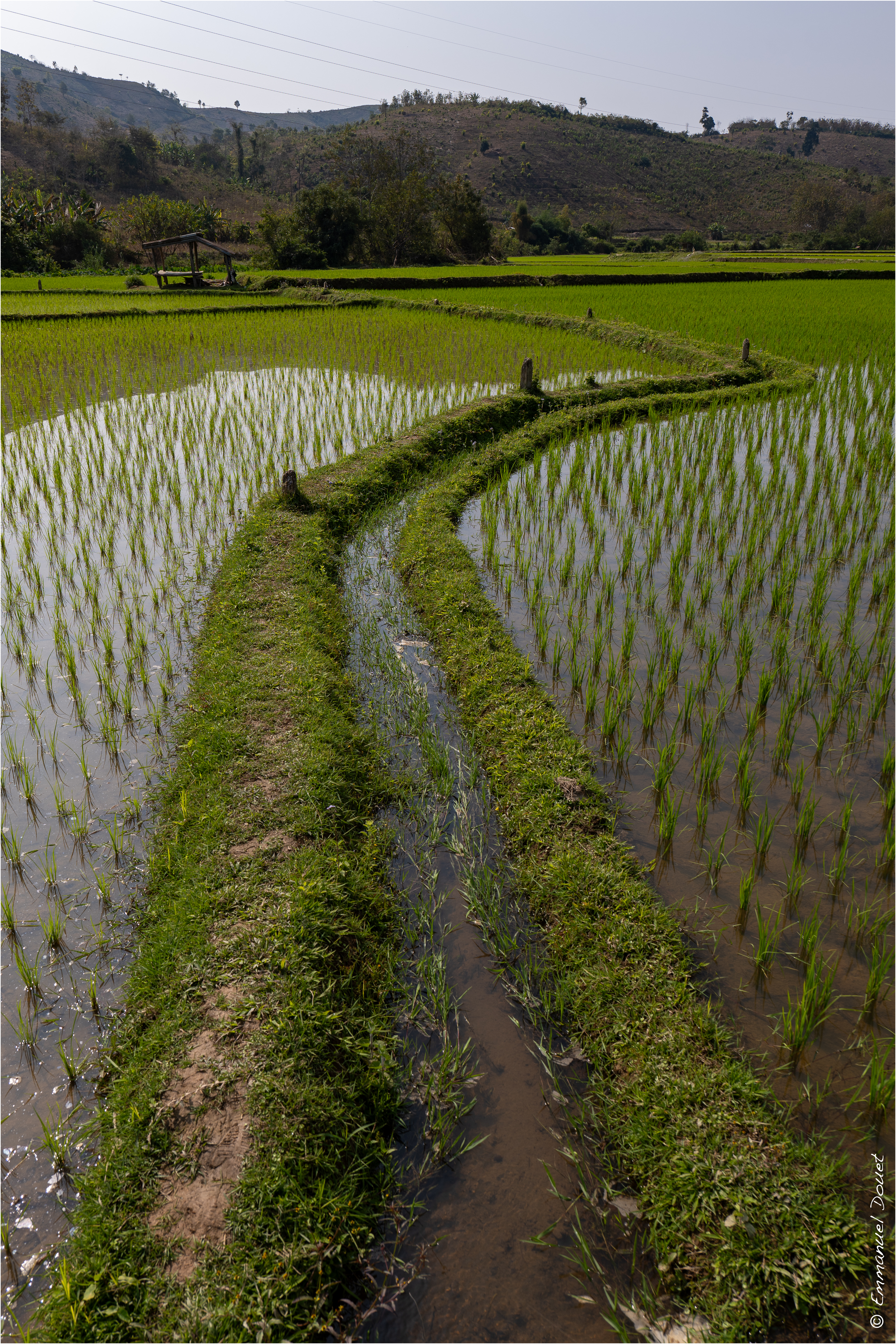 2025 02 Thaïlande&Laos 240