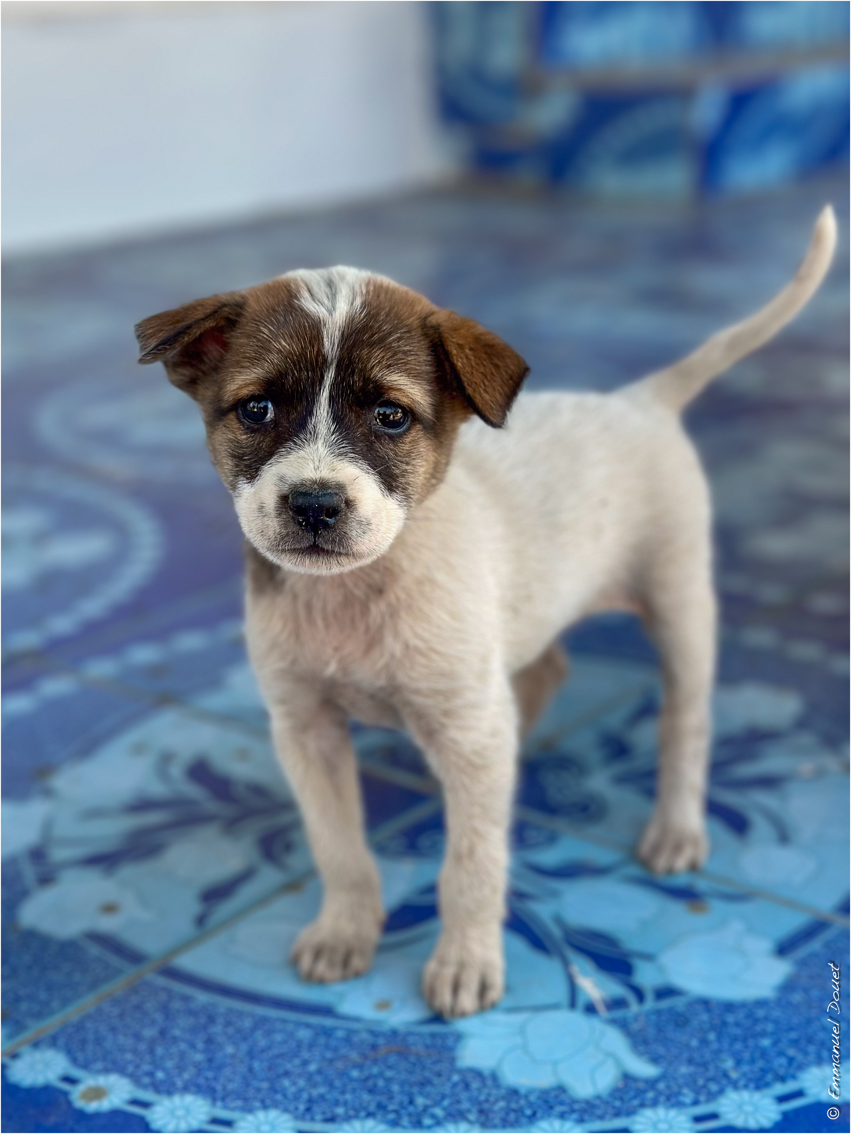 2025 02 Thaïlande&Laos 260