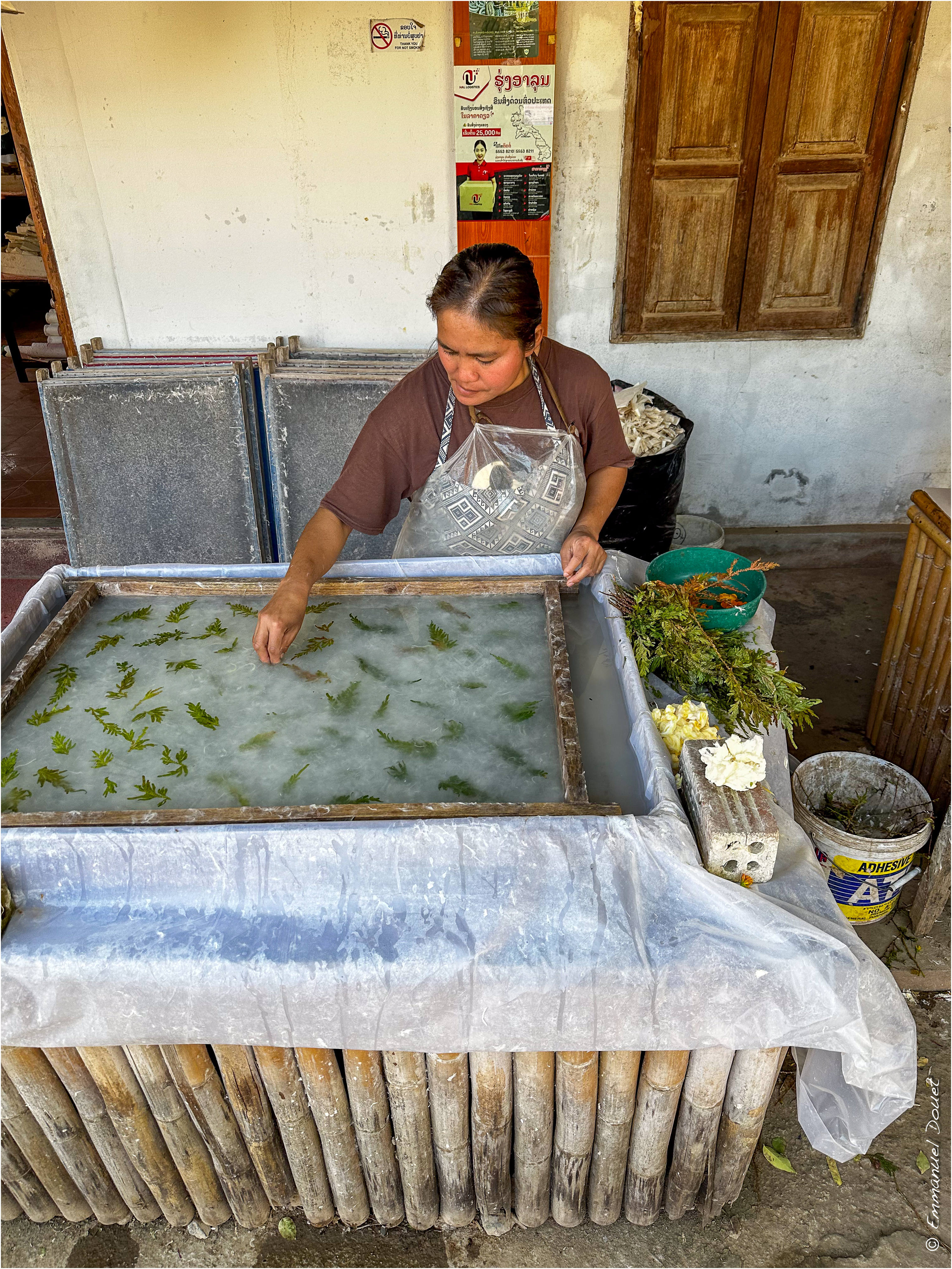 2025 02 Thaïlande&Laos 264