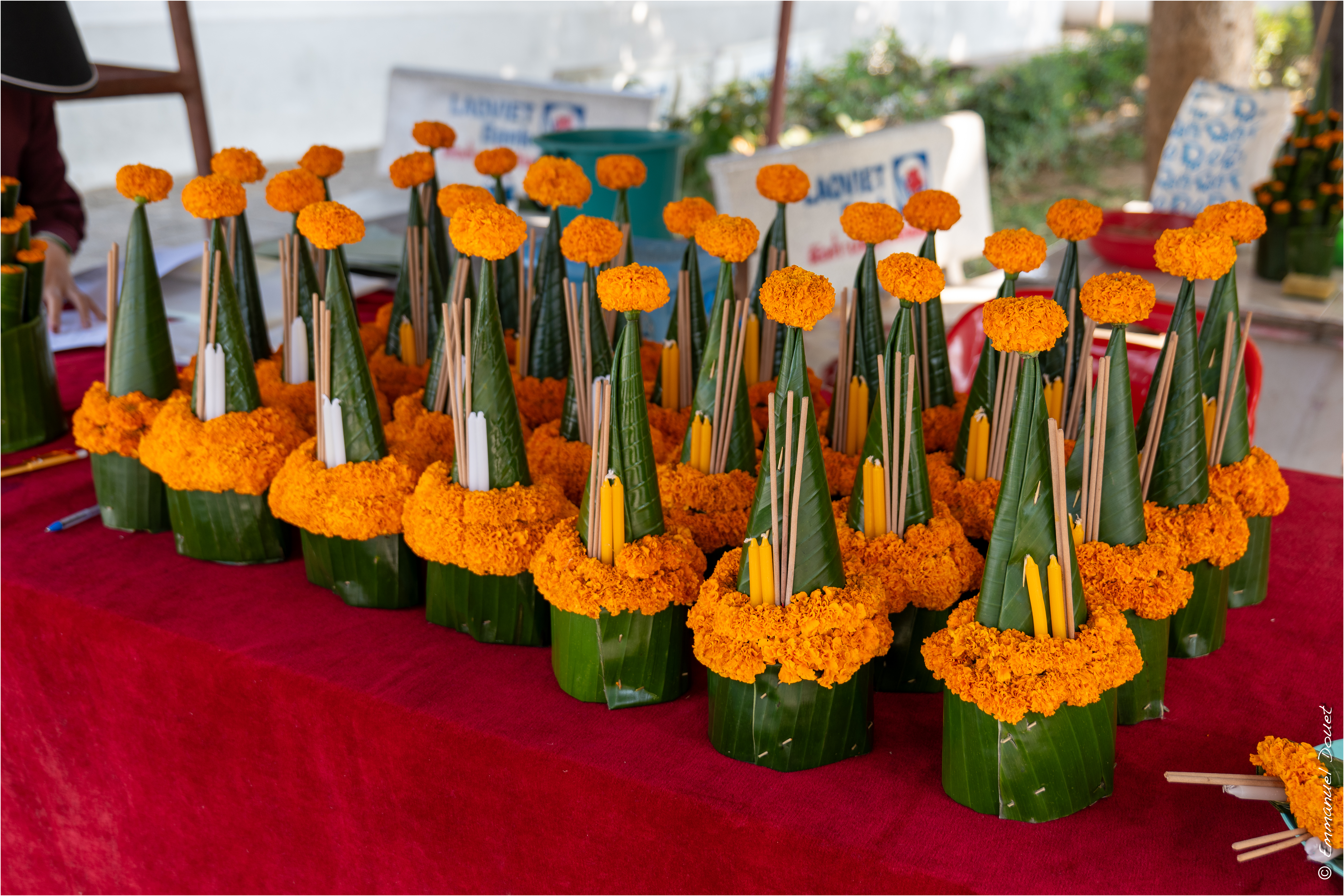 2025 02 Thaïlande&Laos 290