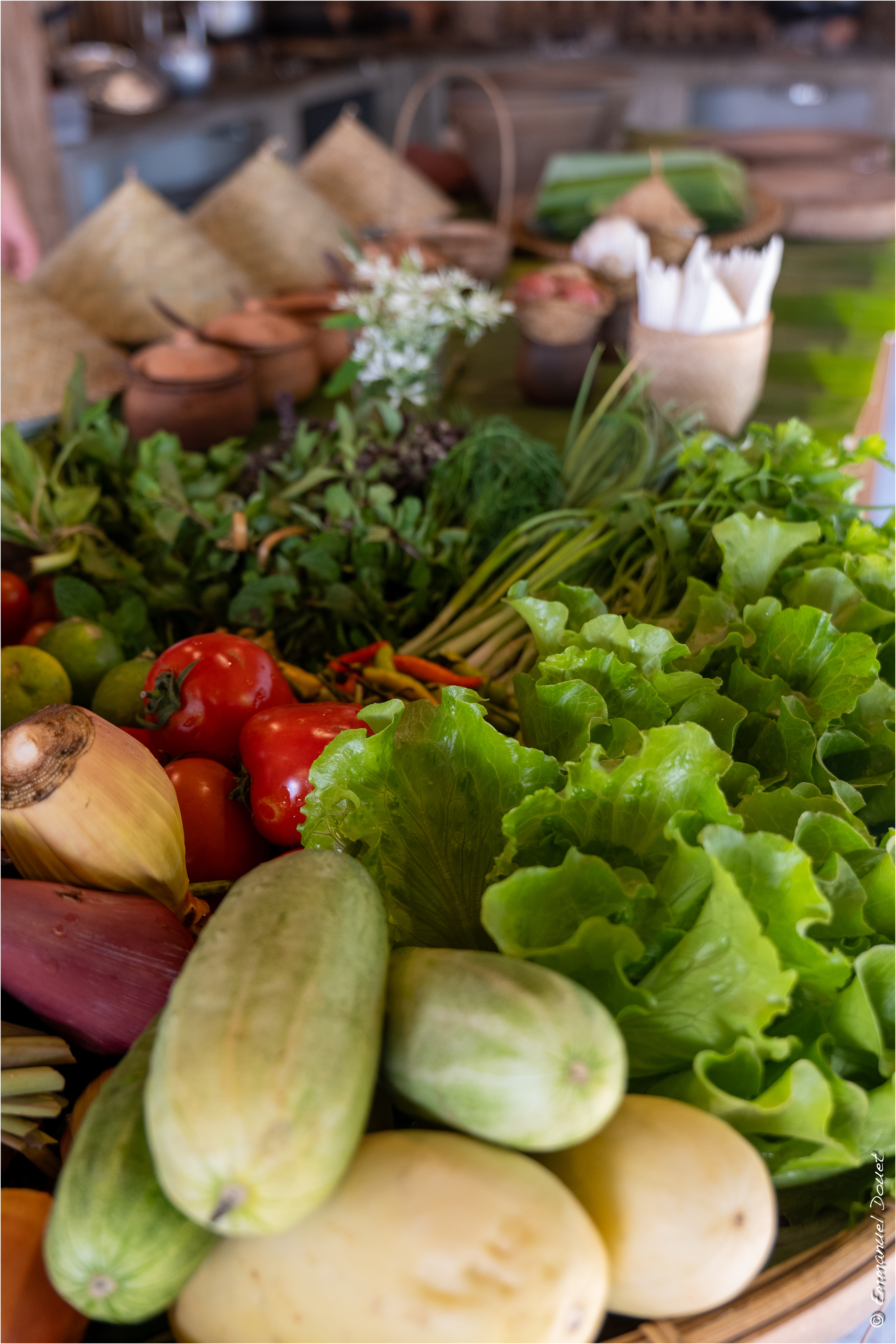 2025 02 Thaïlande&Laos 313