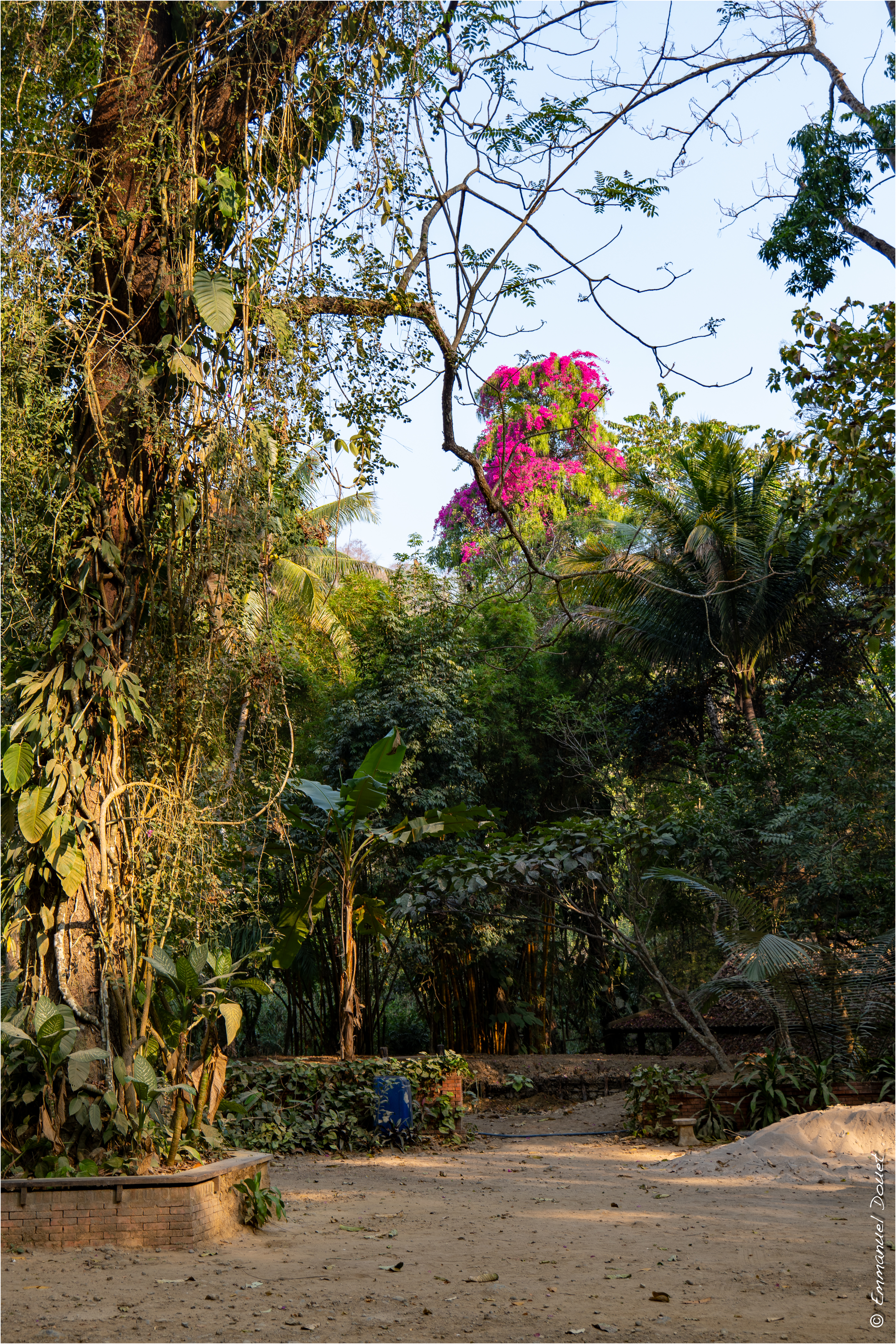 2025 02 Thaïlande&Laos 346