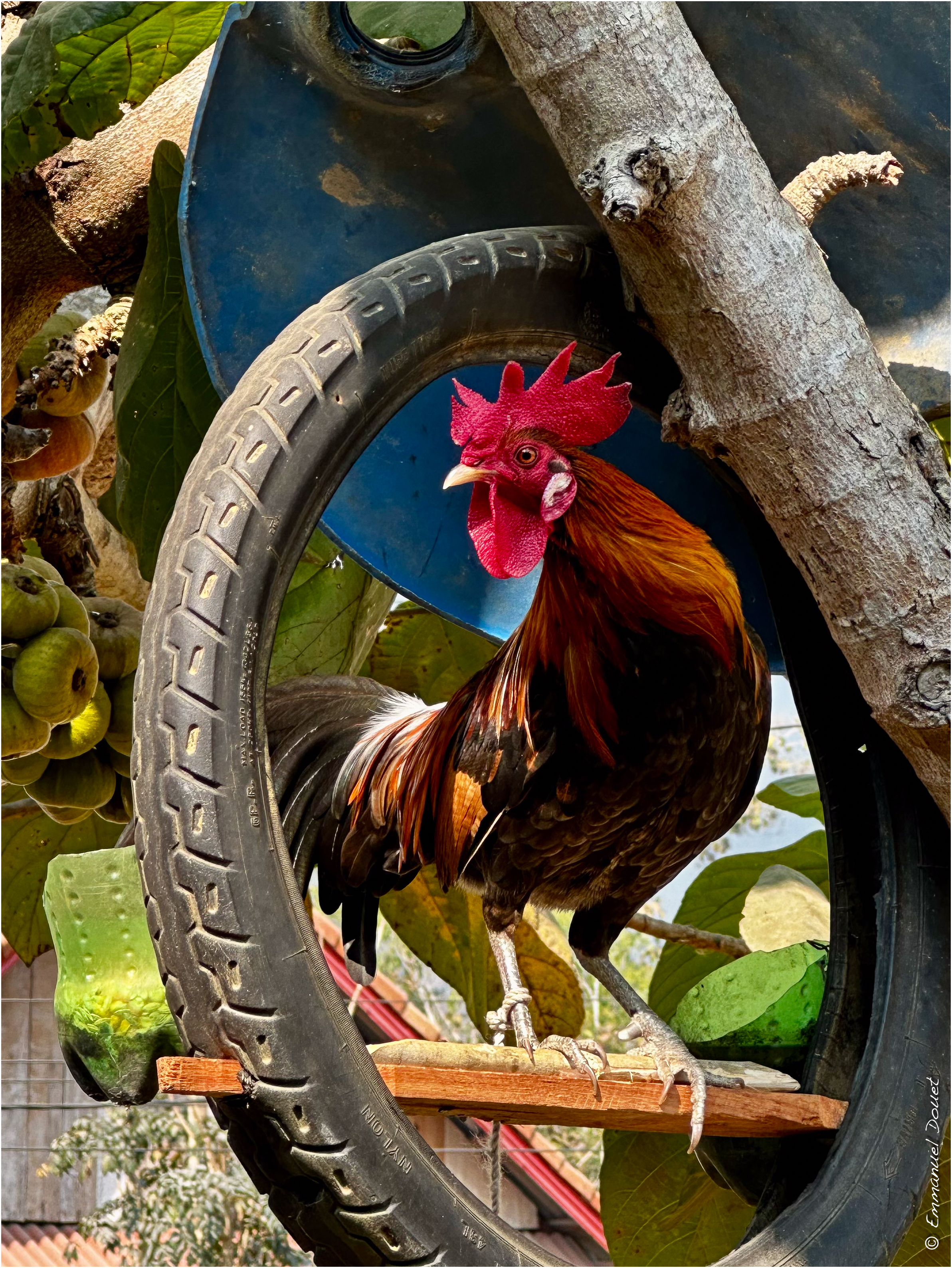 2025 02 Thaïlande&Laos 360