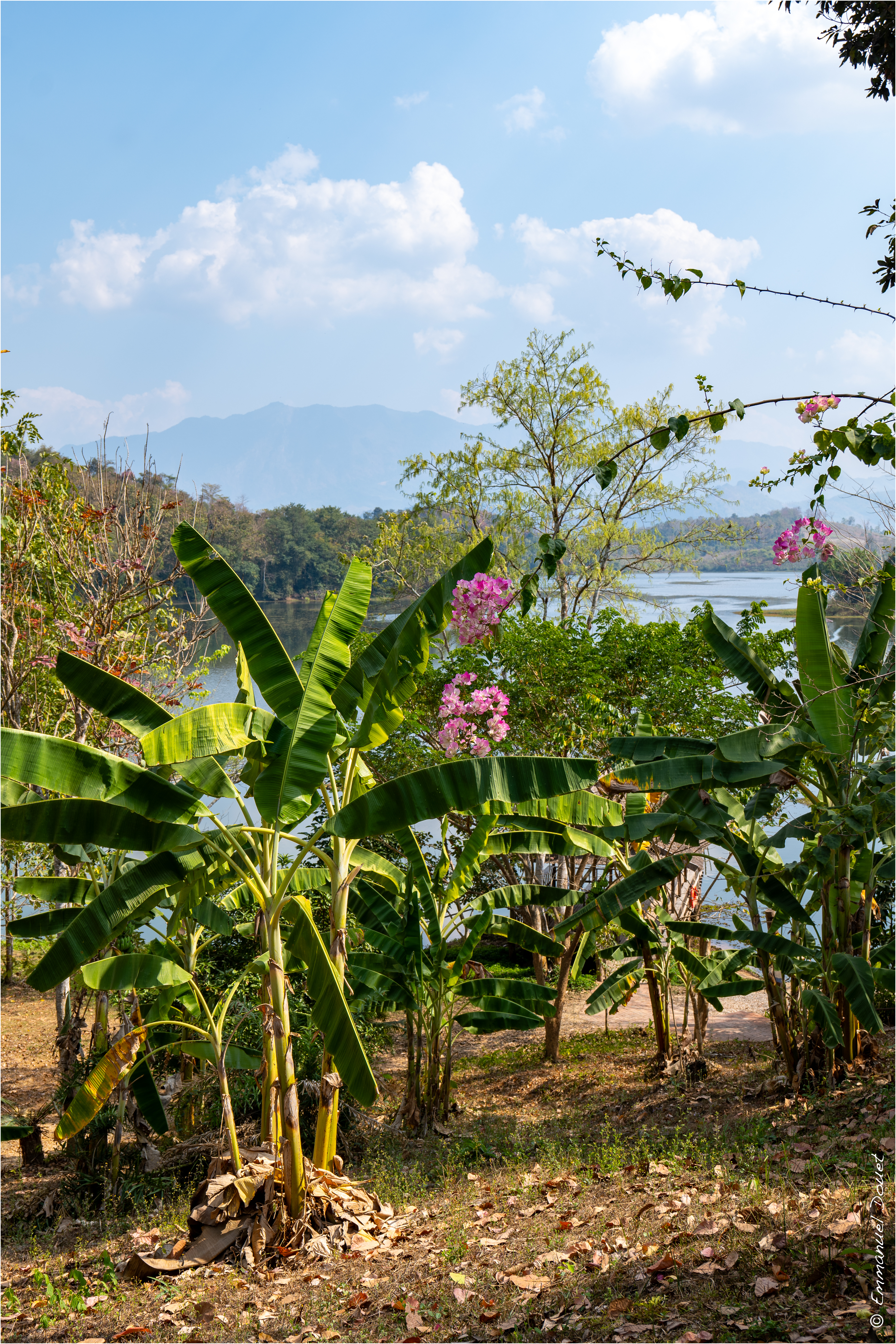 2025 02 Thaïlande&Laos 363