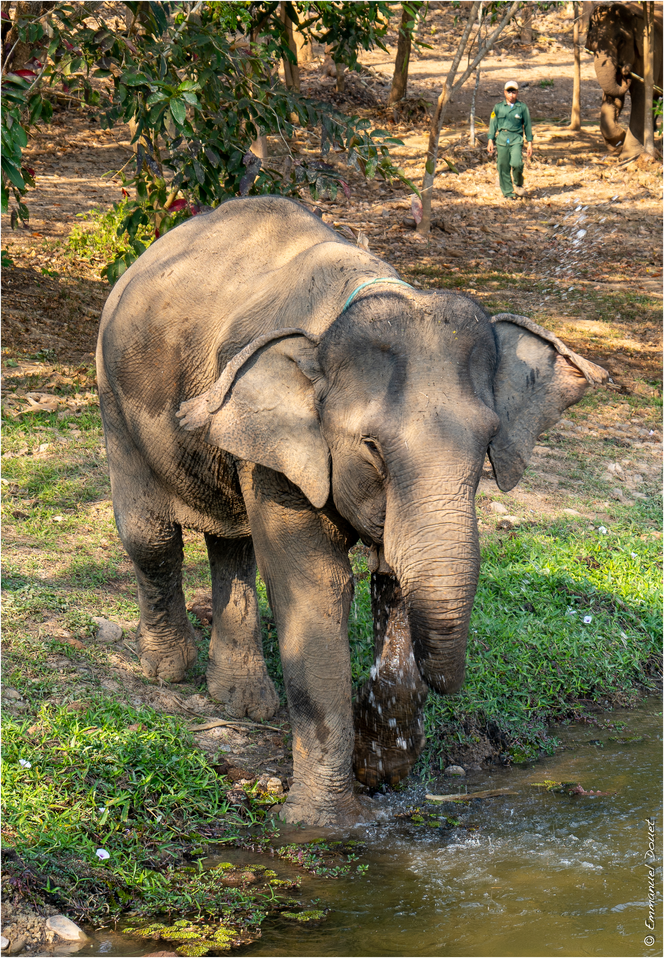 2025 02 Thaïlande&Laos 376