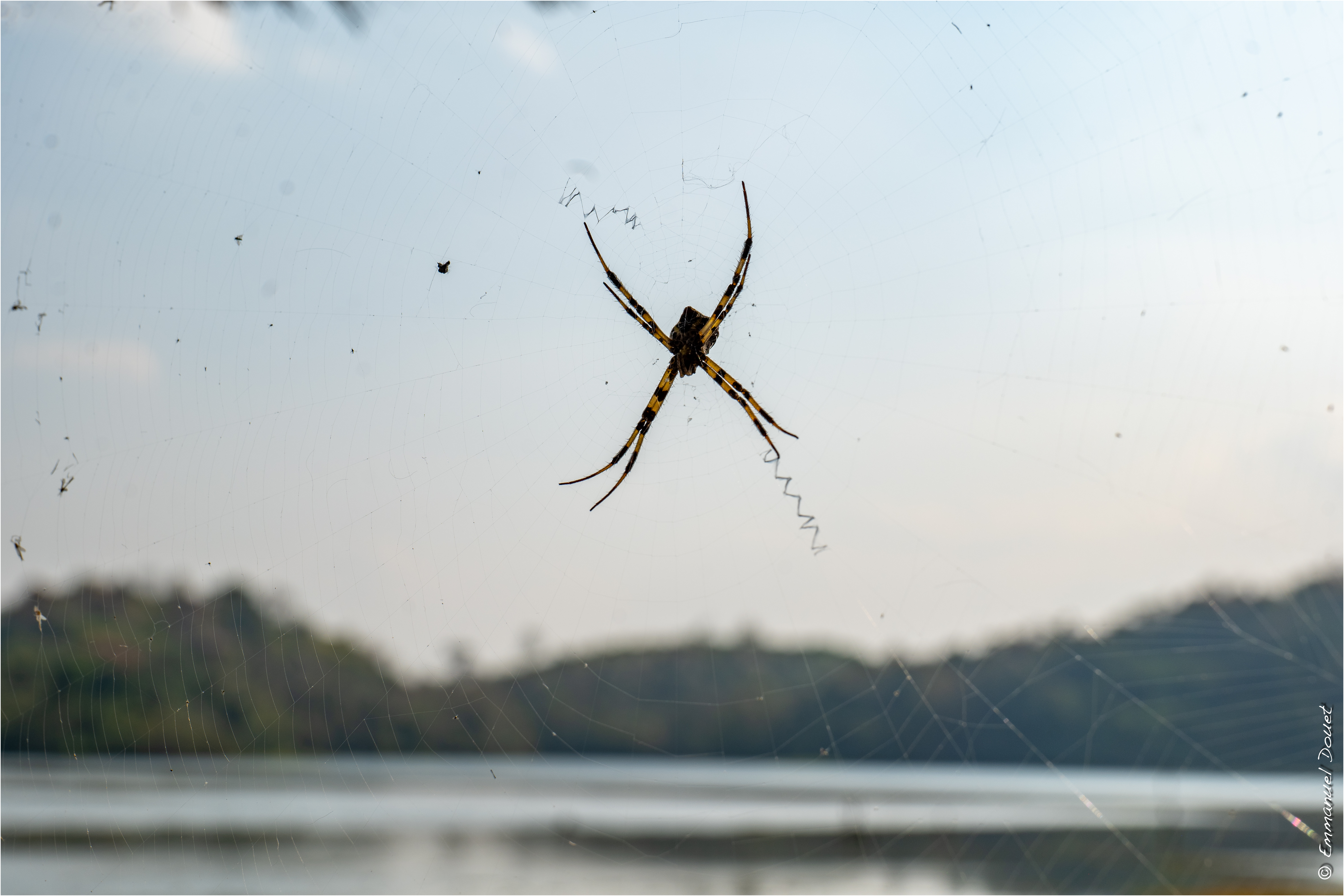 2025 02 Thaïlande&Laos 378