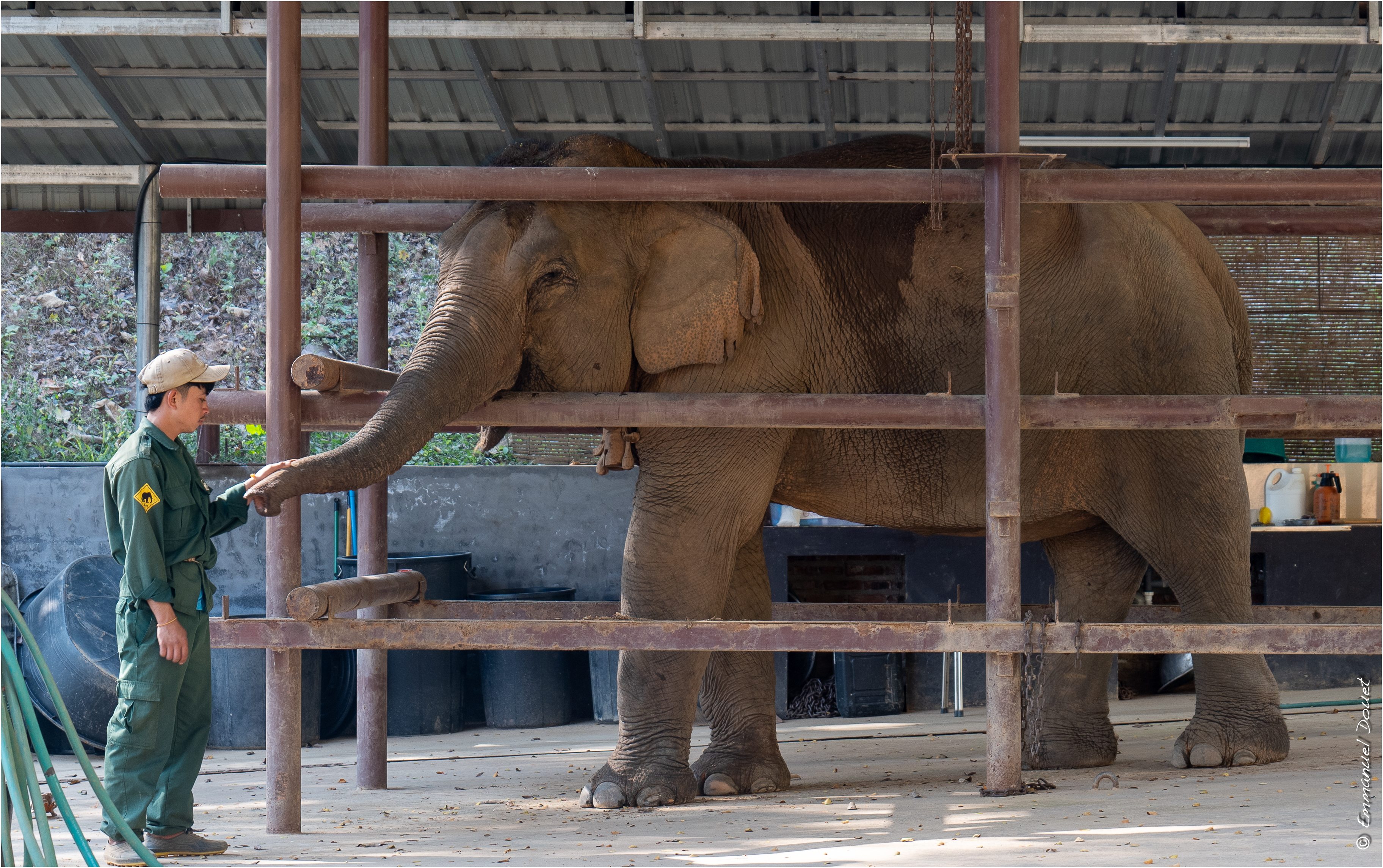 2025 02 Thaïlande&Laos 379