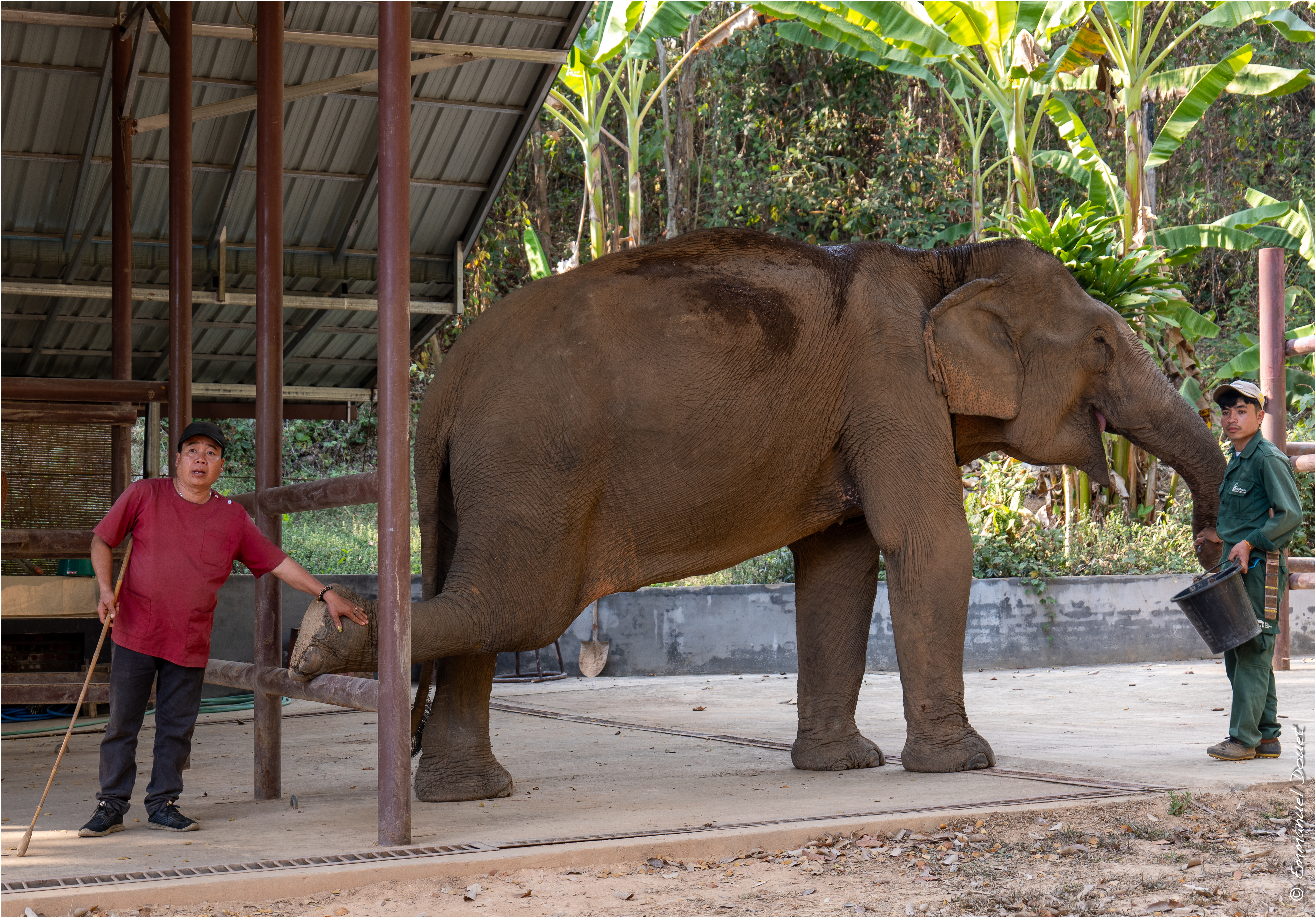 2025 02 Thaïlande&Laos 380