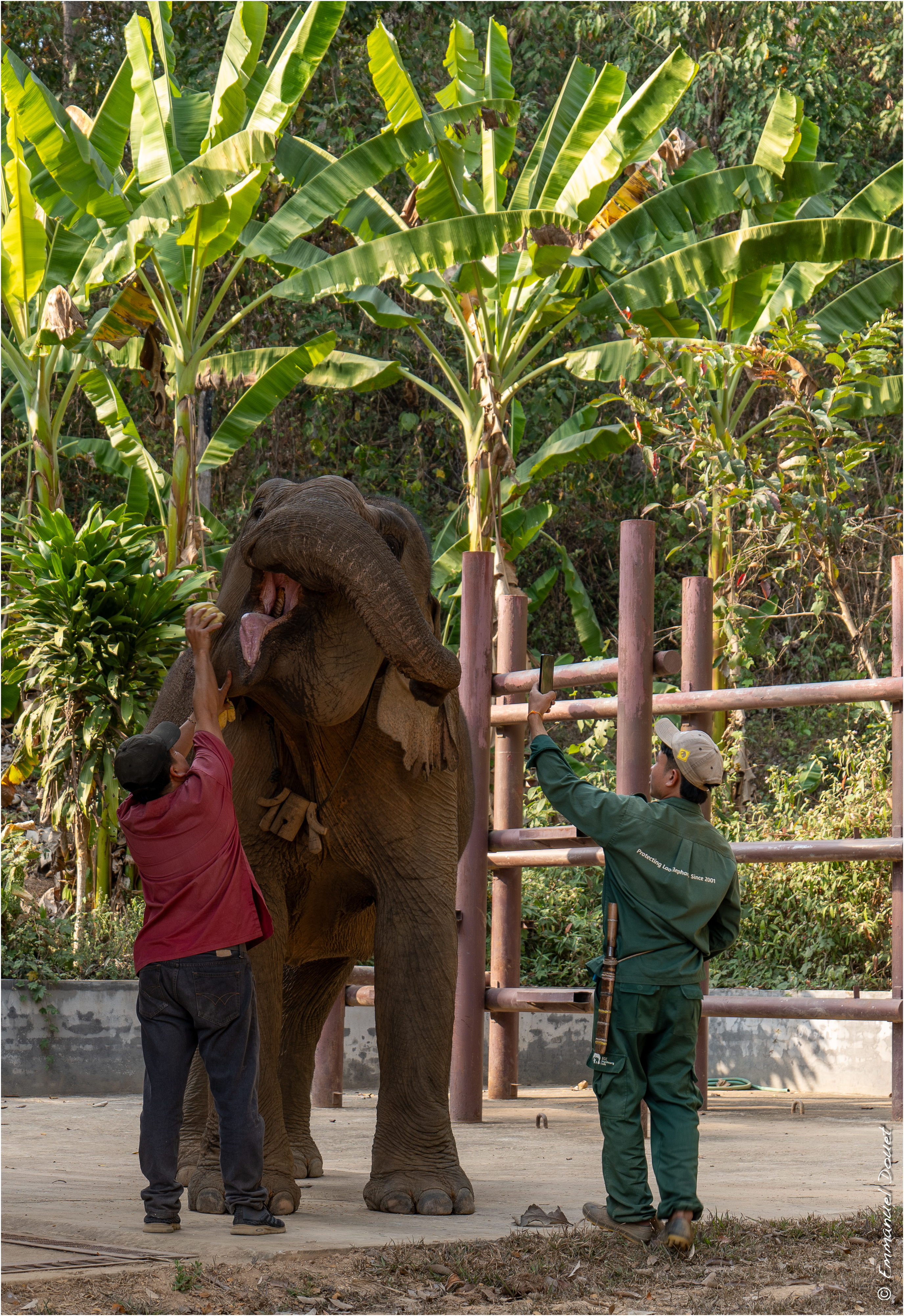 2025 02 Thaïlande&Laos 381