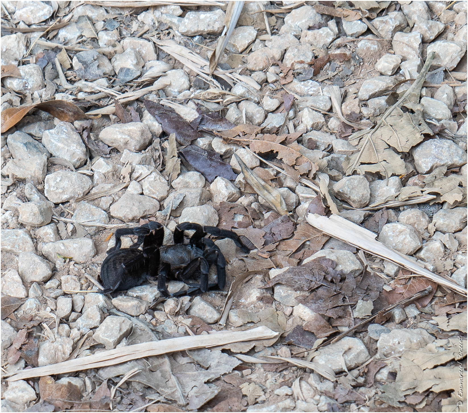 2025 02 Thaïlande&Laos 382