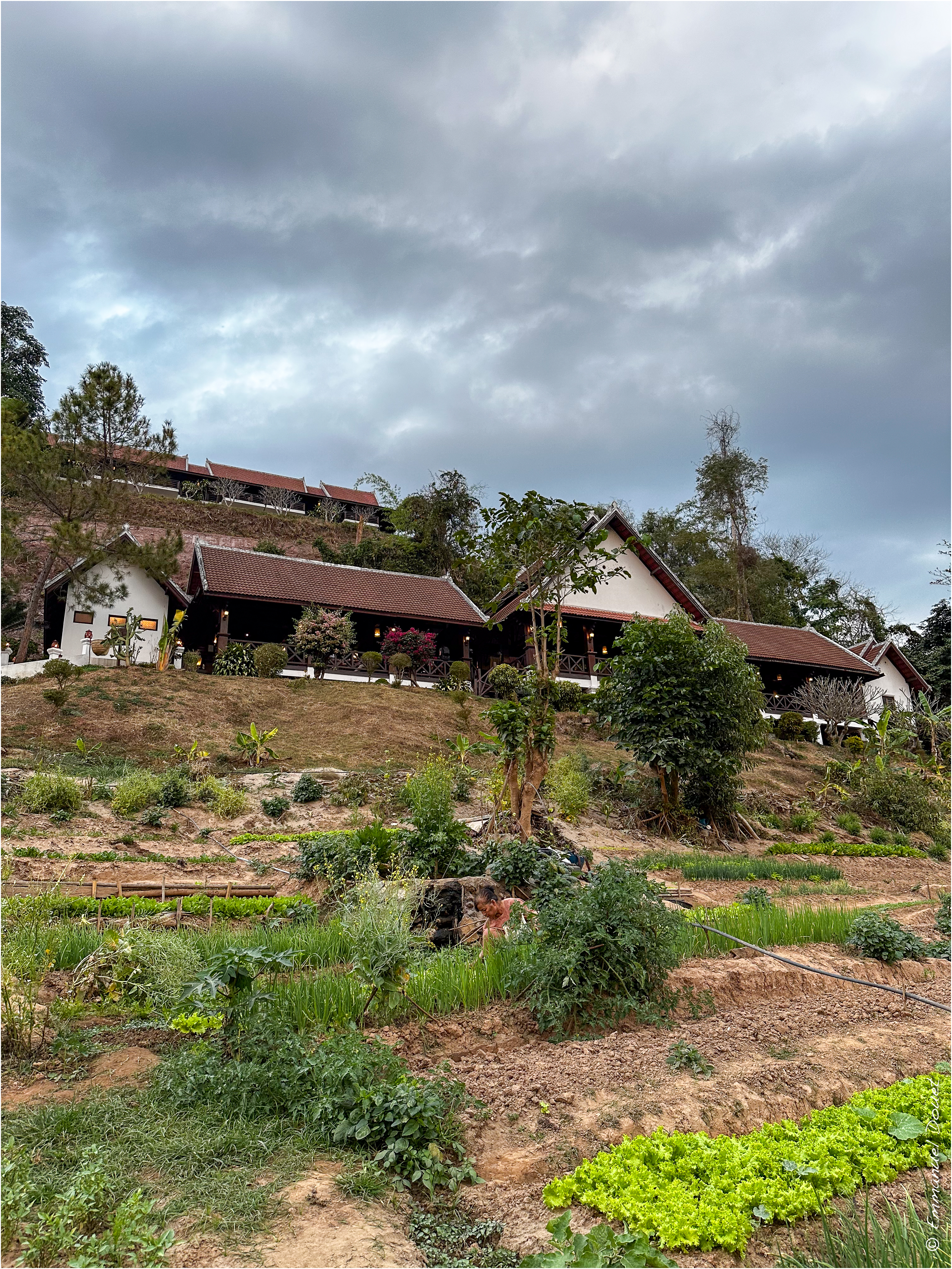 2025 02 Thaïlande&Laos 412