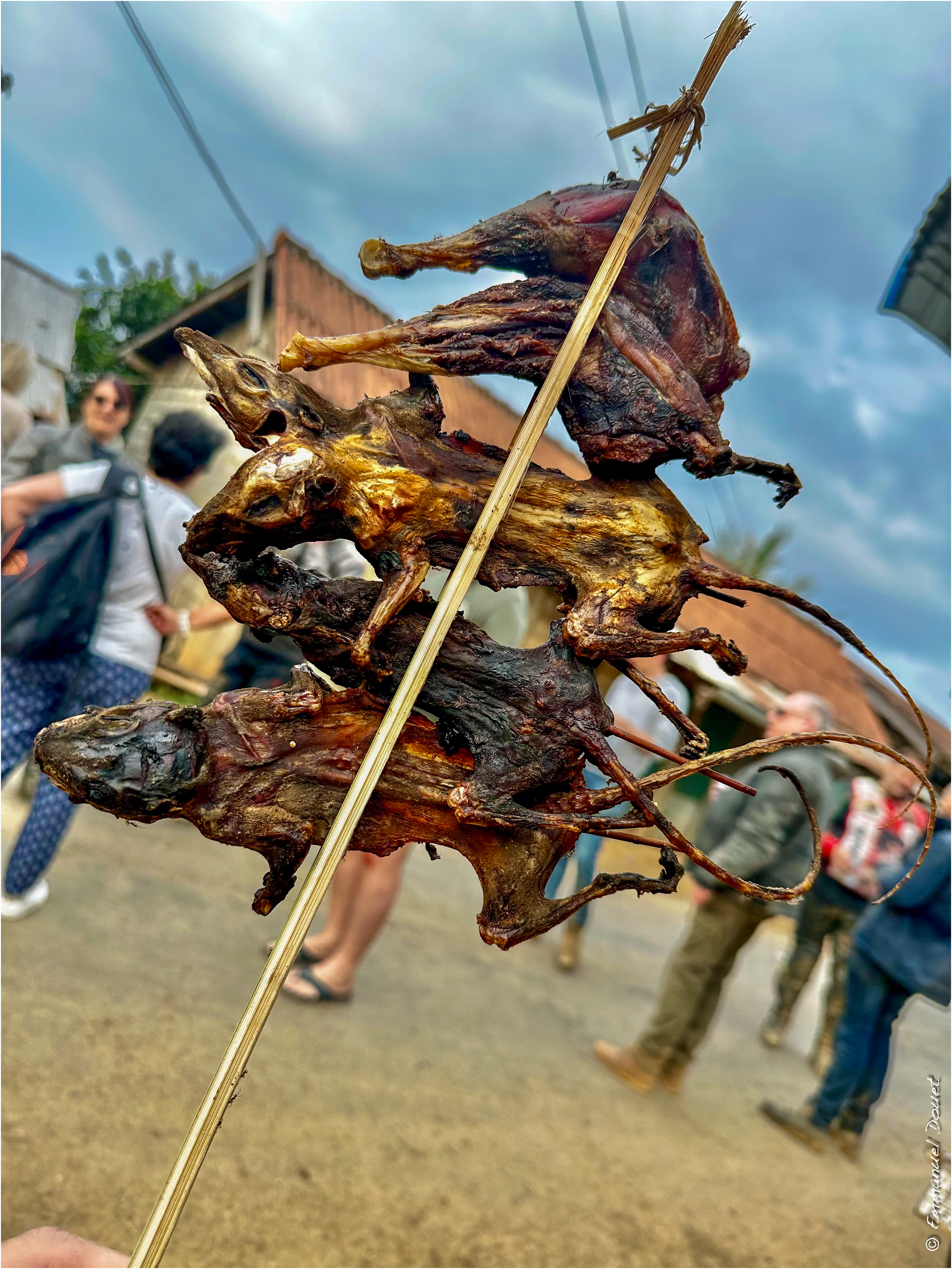 2025 02 Thaïlande&Laos 421