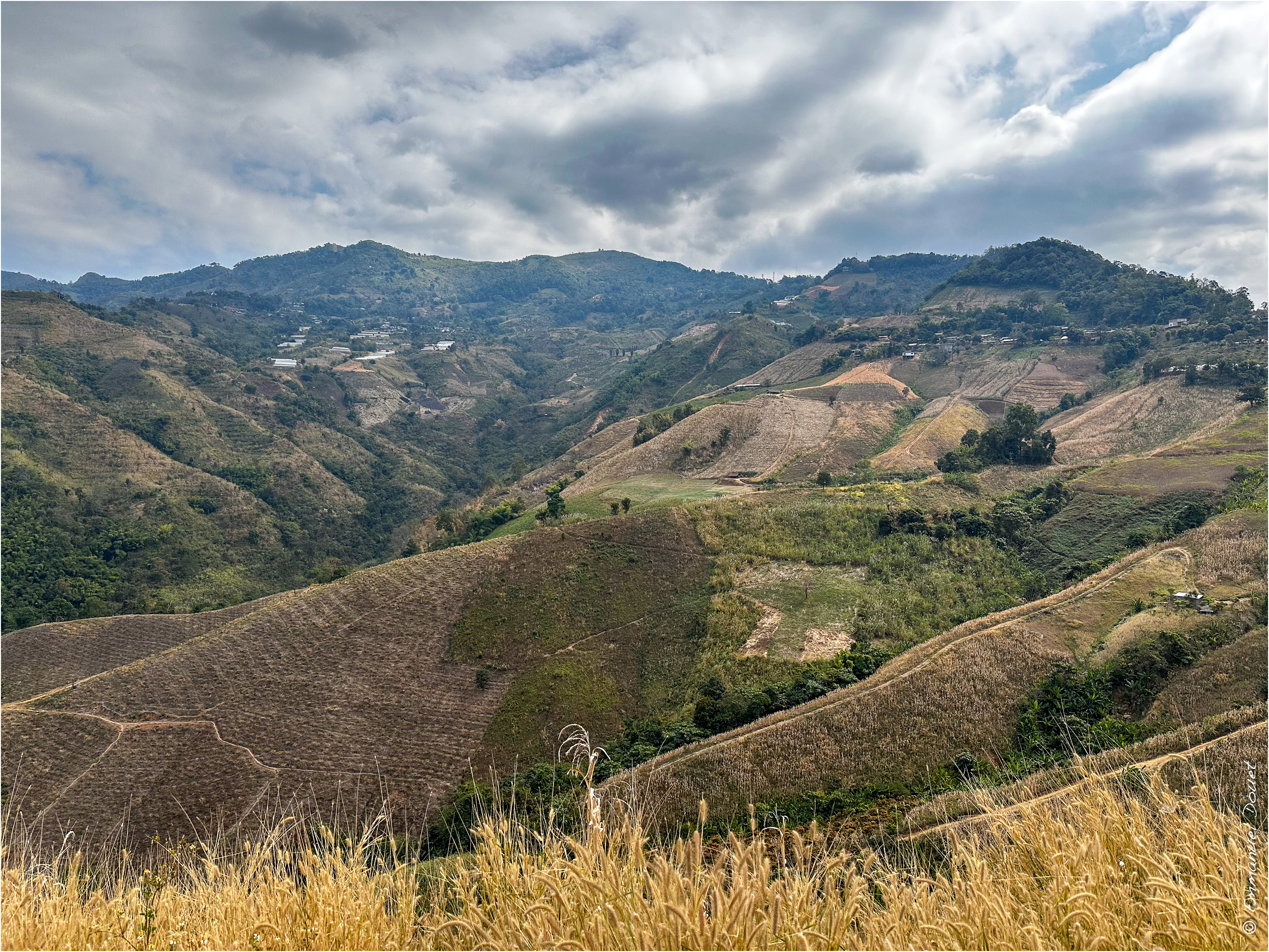 2025 02 Thaïlande&Laos 451