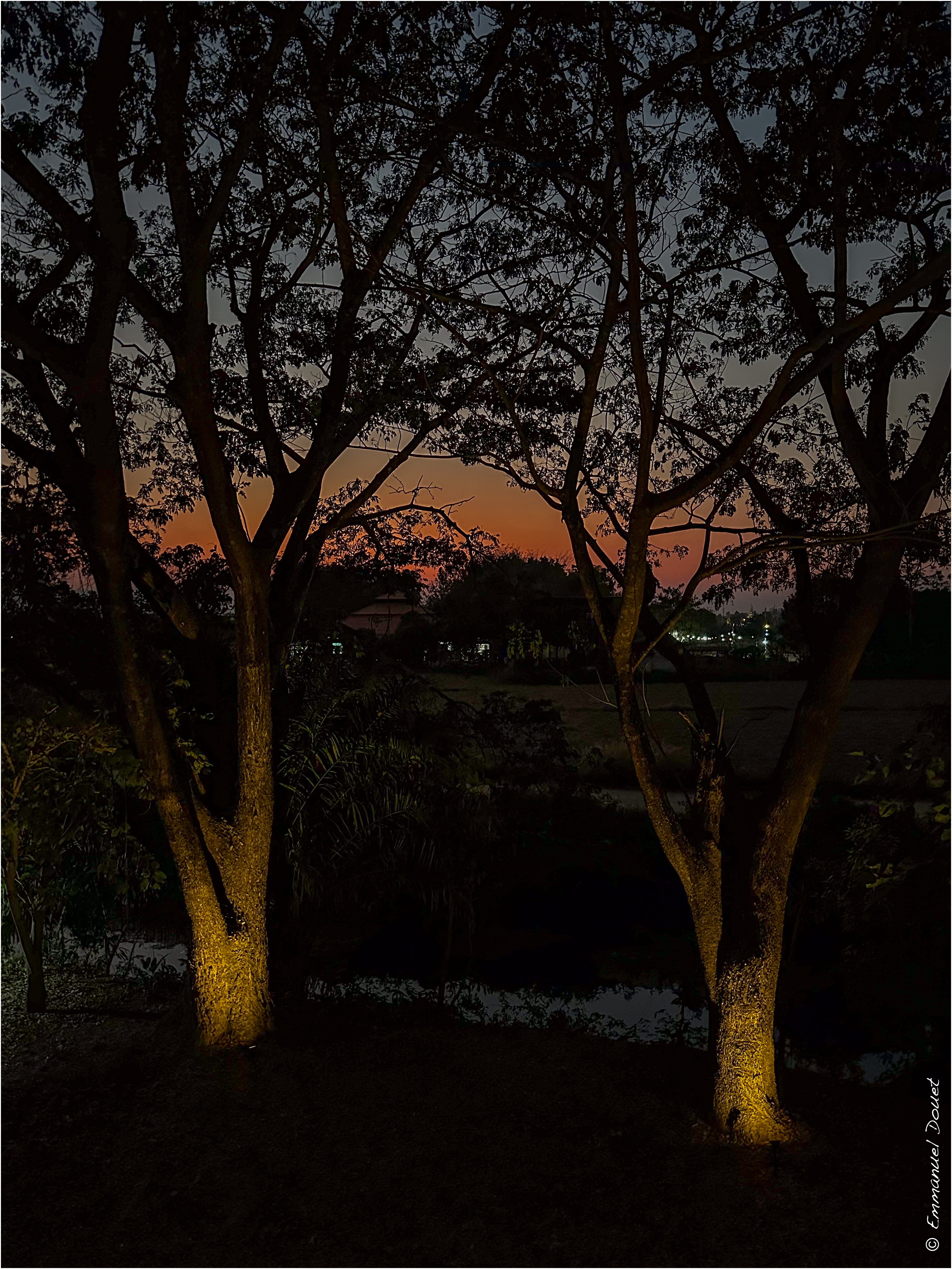 2025 02 Thaïlande&Laos 459