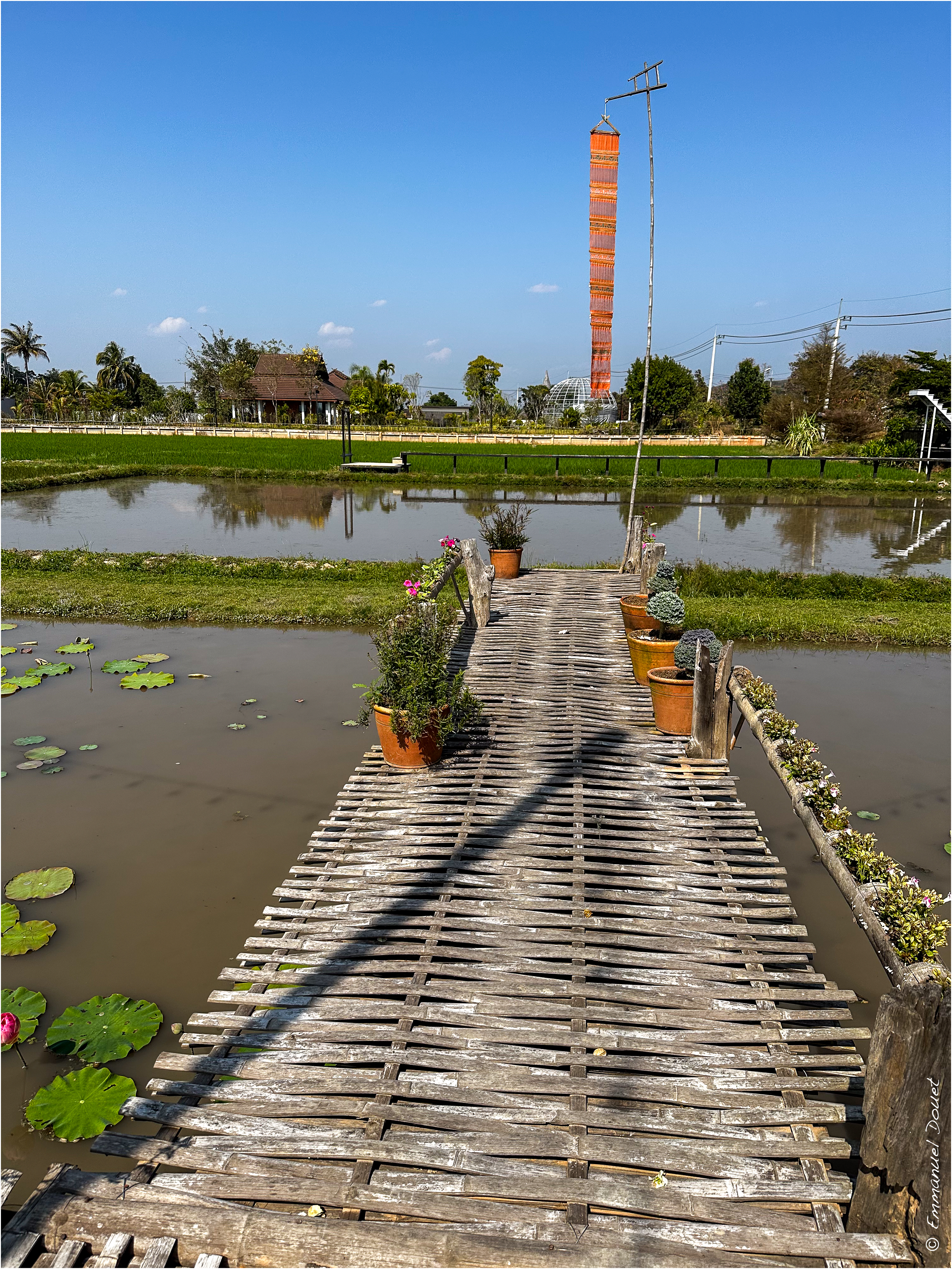 2025 02 Thaïlande&Laos 465