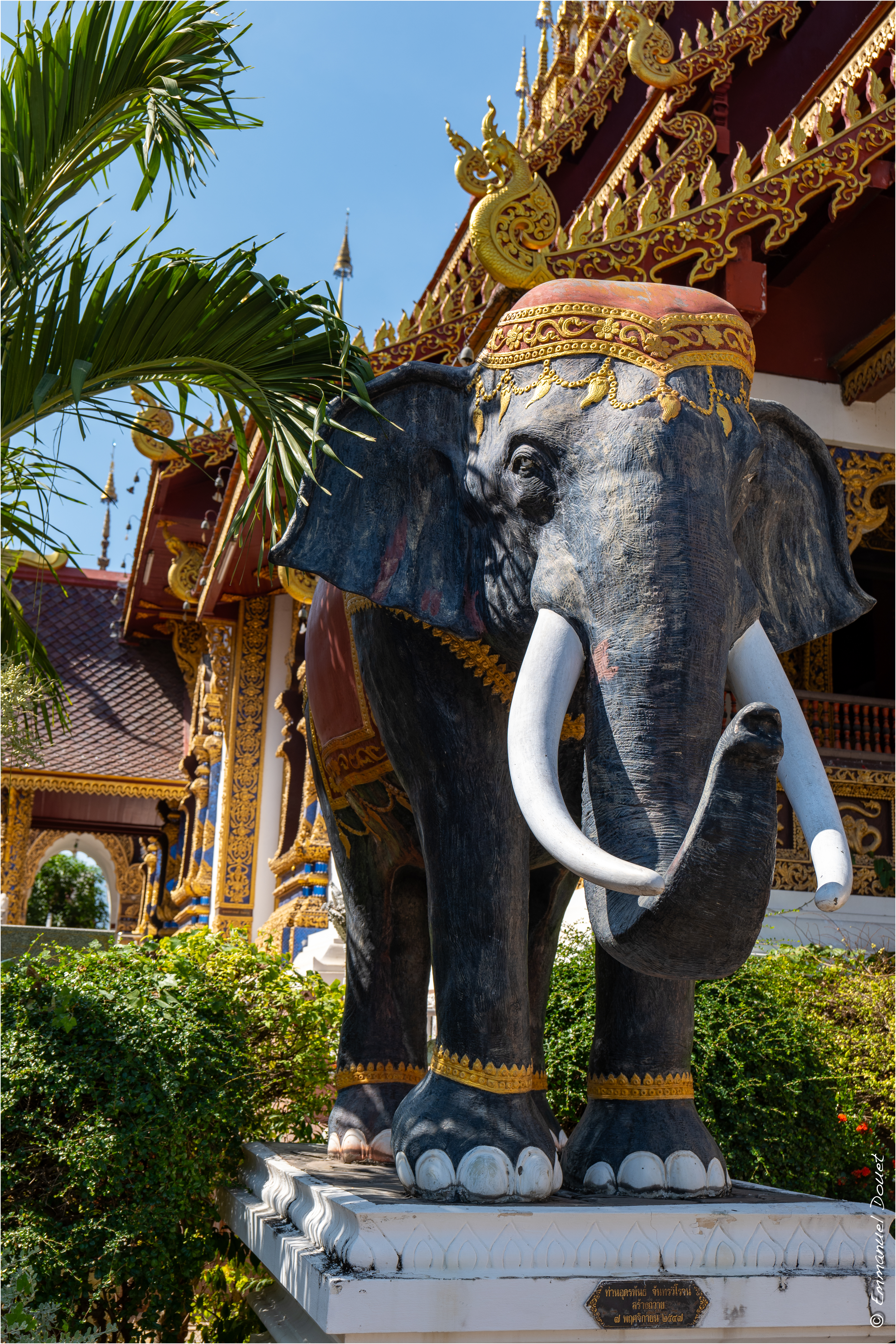 2025 02 Thaïlande&Laos 56