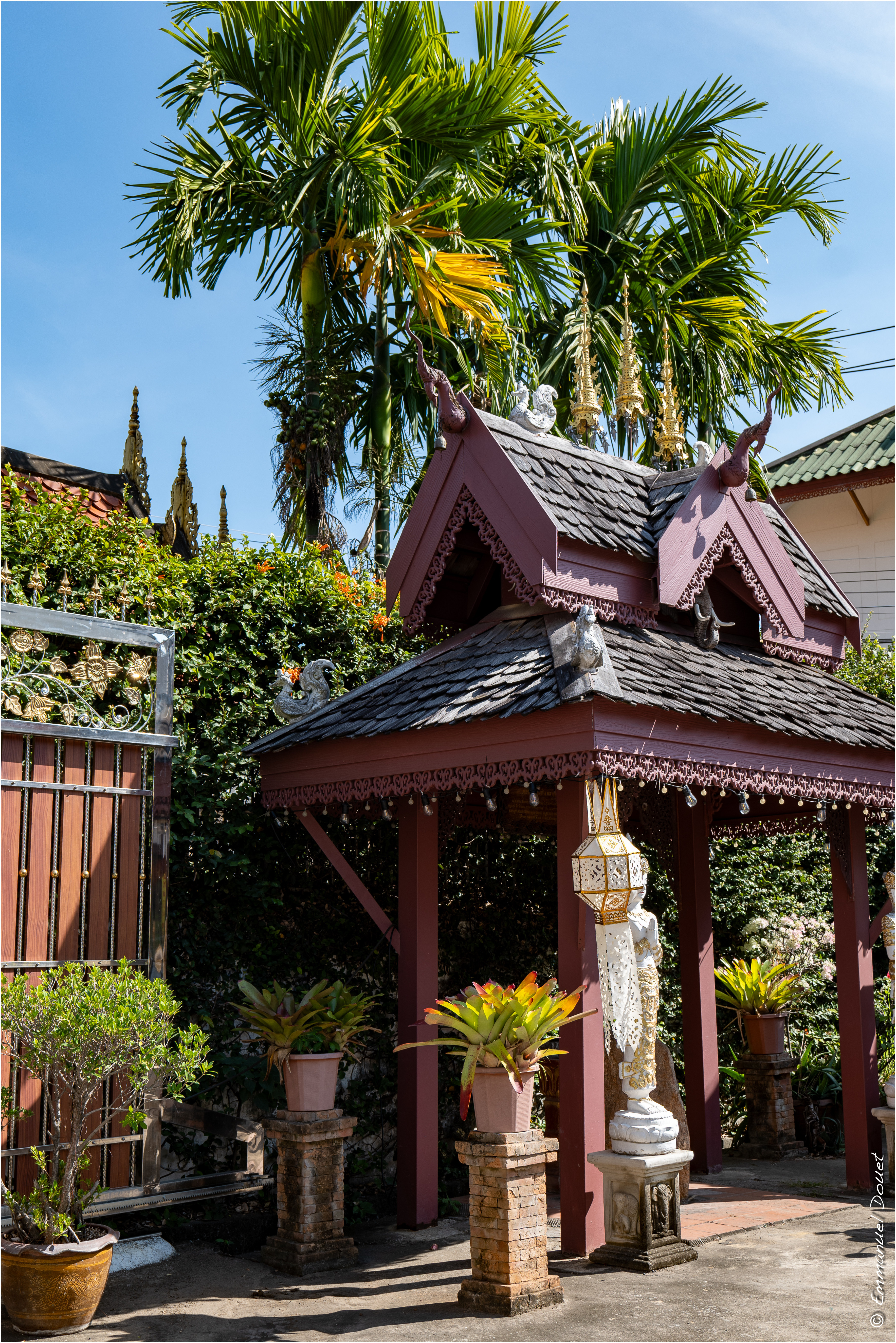 2025 02 Thaïlande&Laos 64