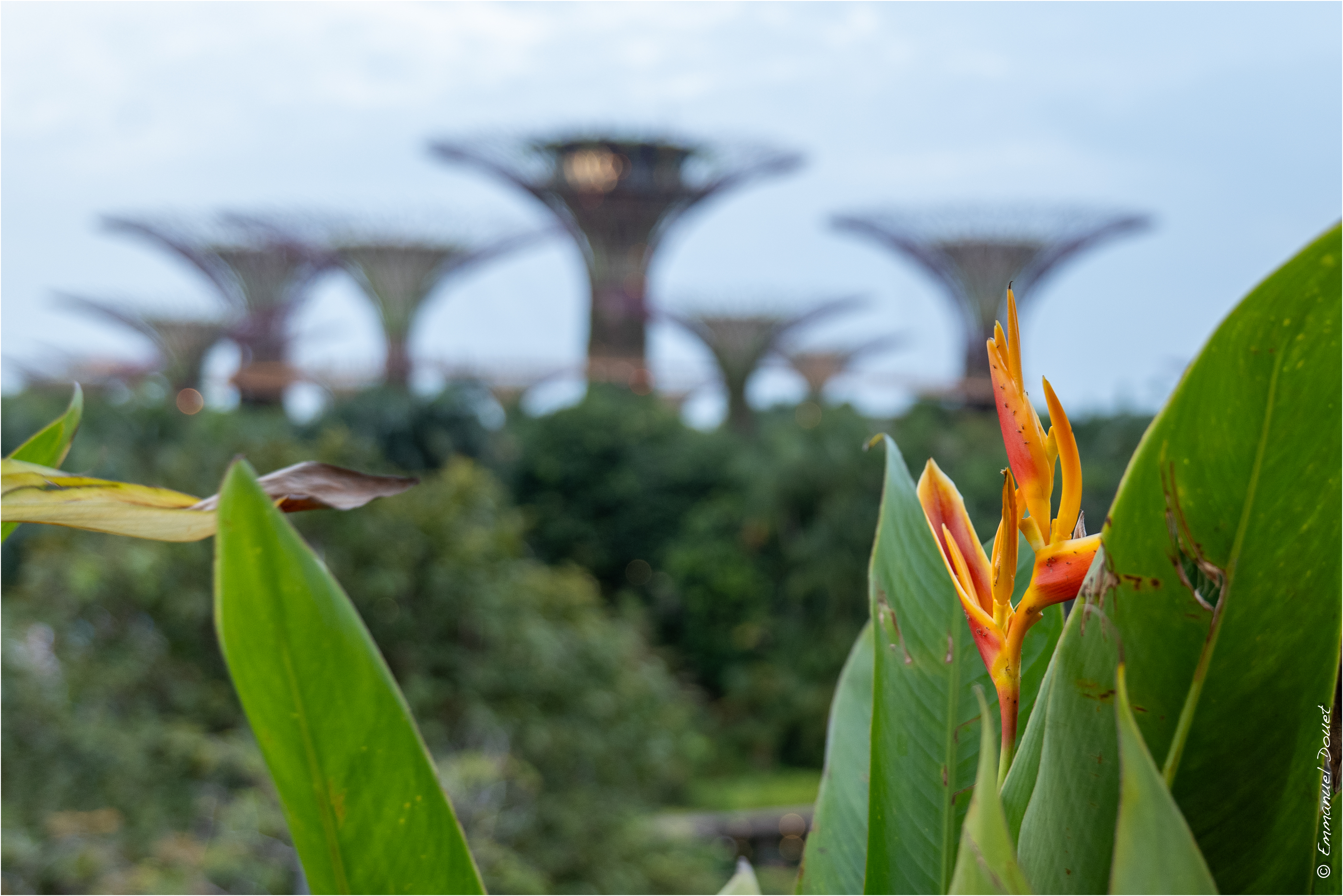 2025 02 Thaïlande&Laos 7