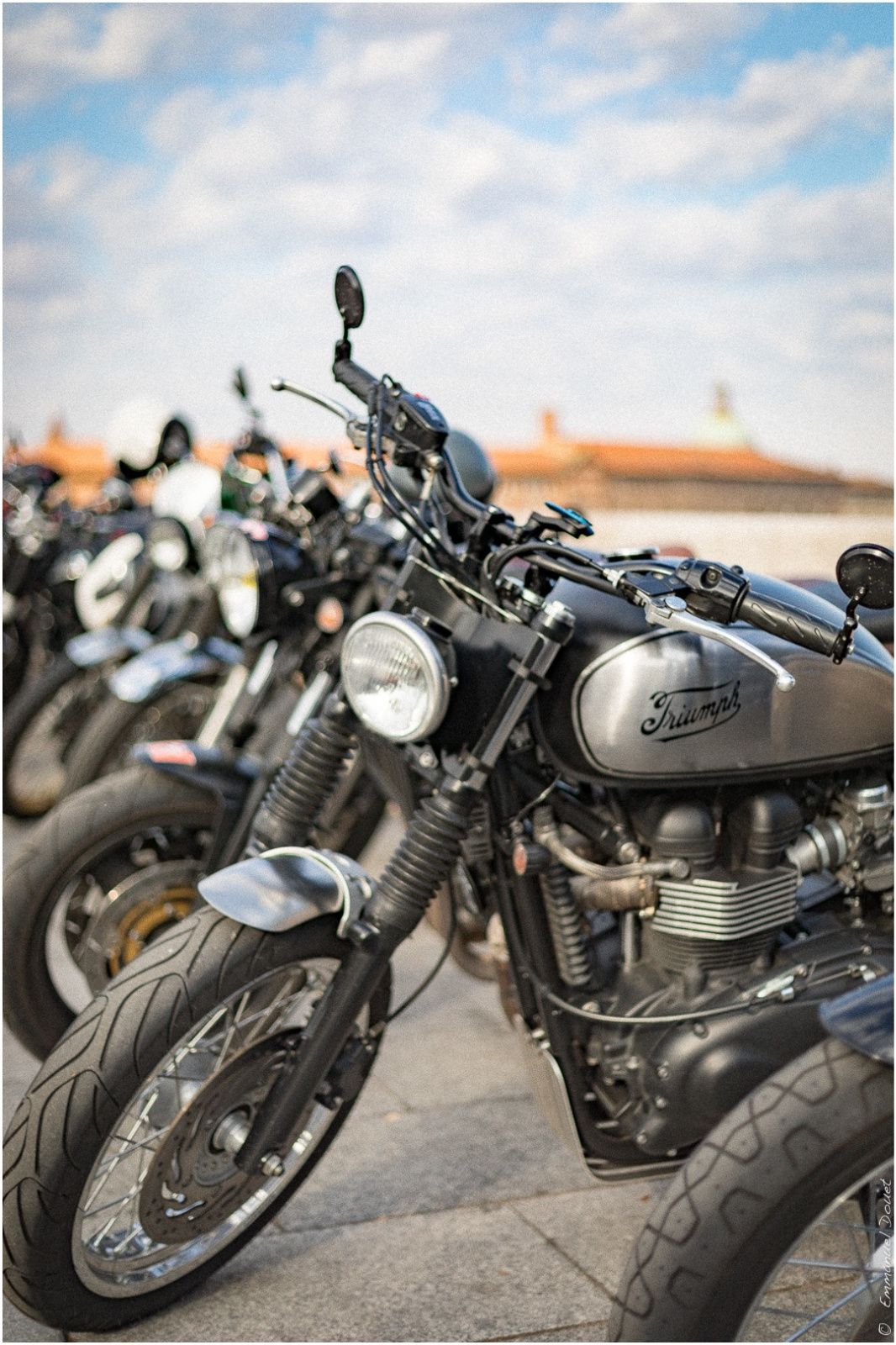 43150082 1897002957021586 7404493158395936768 o 1897002947021587