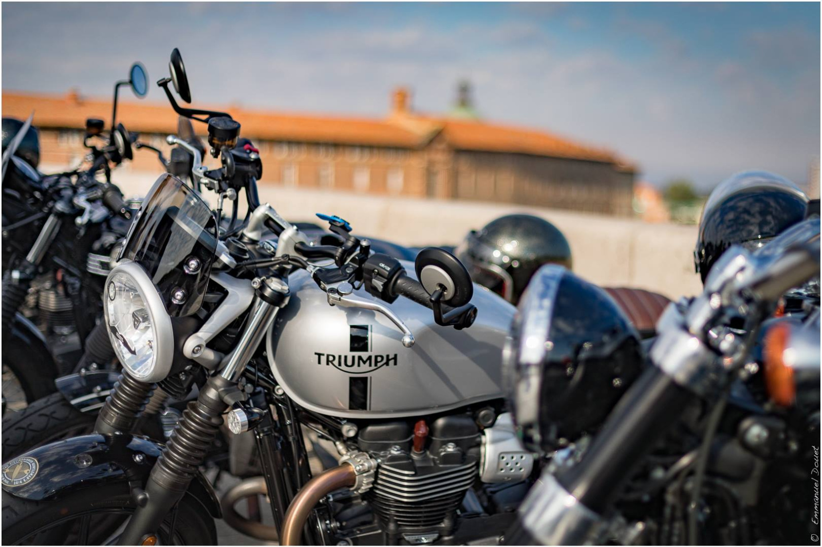 43207413 1897002550354960 2505031235781263360 o 1897002547021627